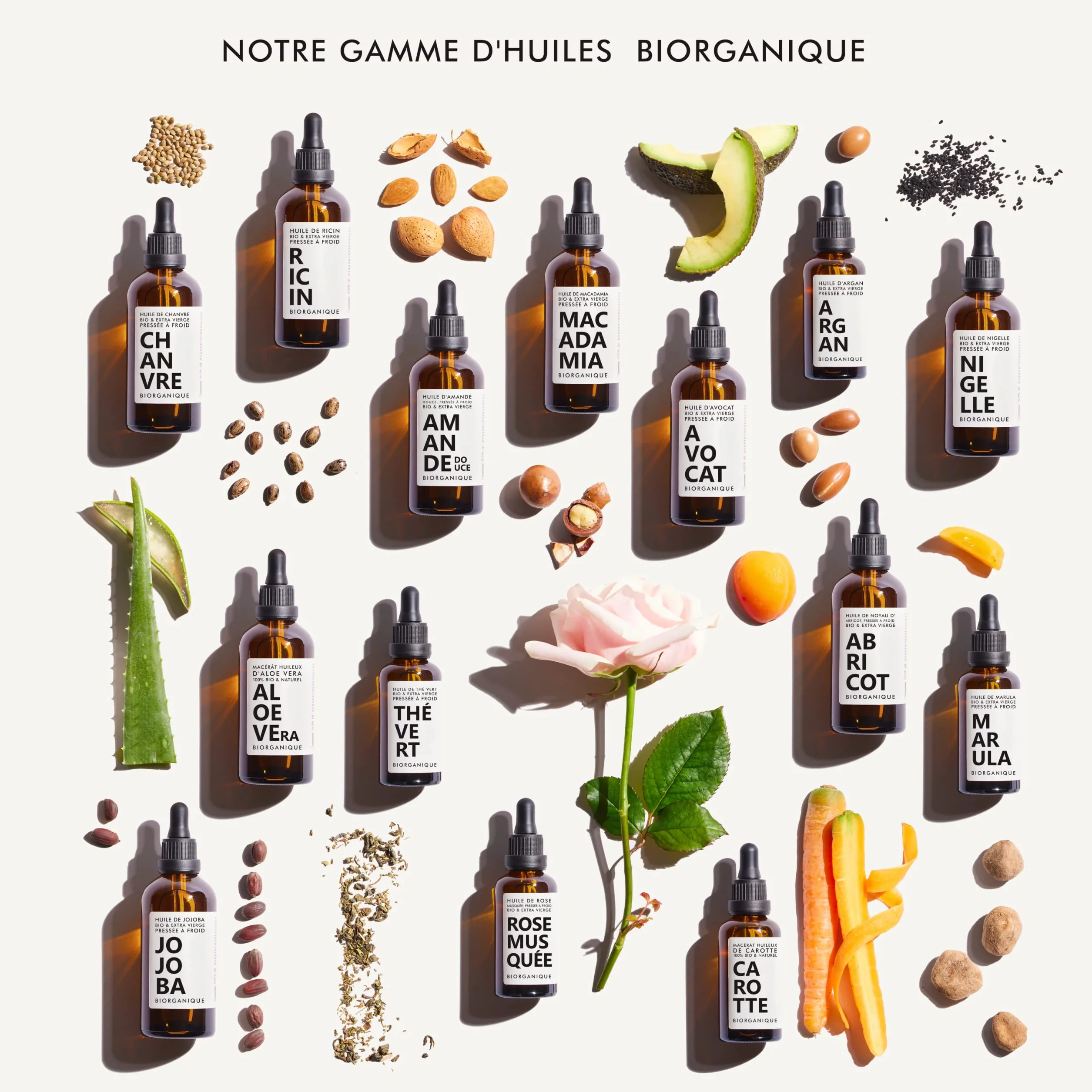 Huile de Rose Musquée BIO 100% Pure Pressée à froid 50 ml Soin Anti-âge Peau Cicatrices Vergetures