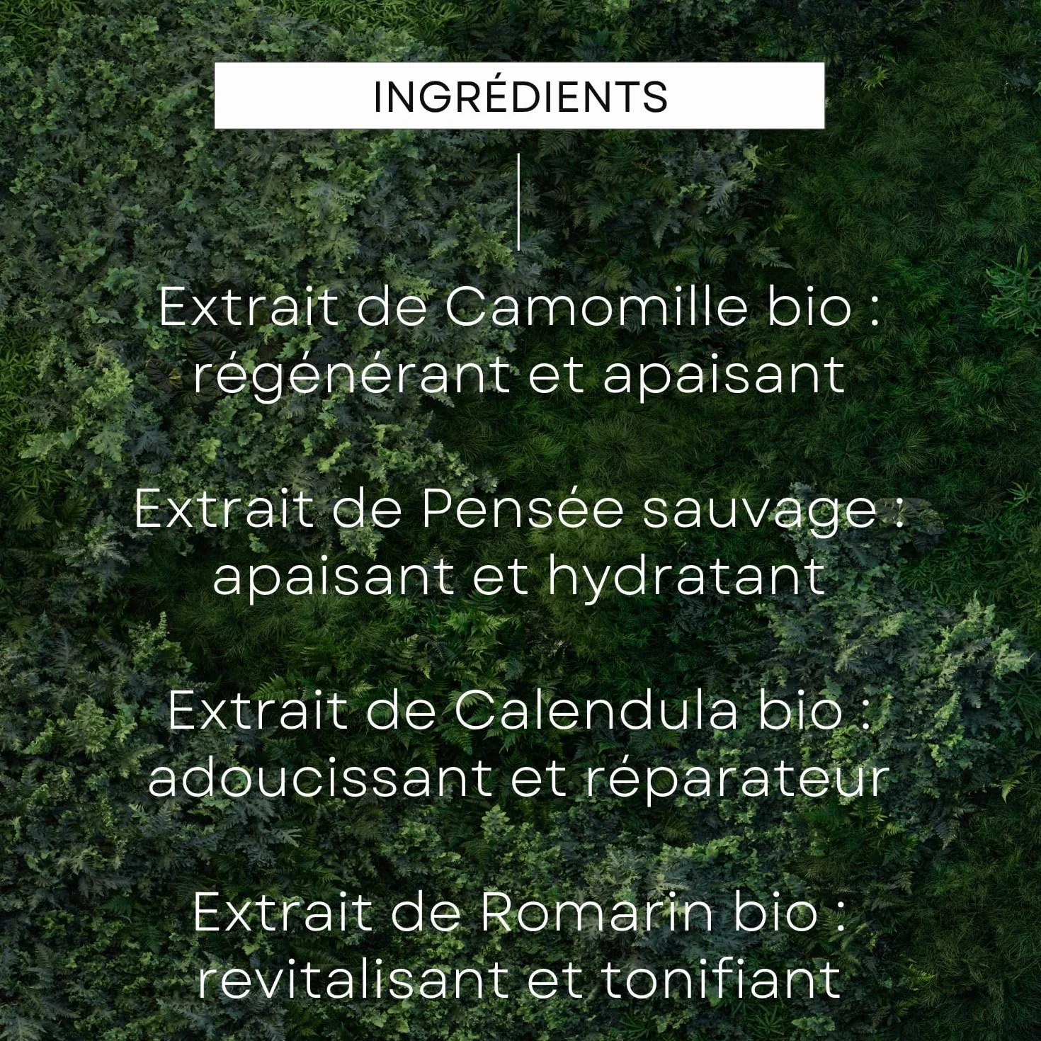 WELEDA Skin Food Baume lèvres réparateur nourrissant lèvres sèches gercées 8 ml