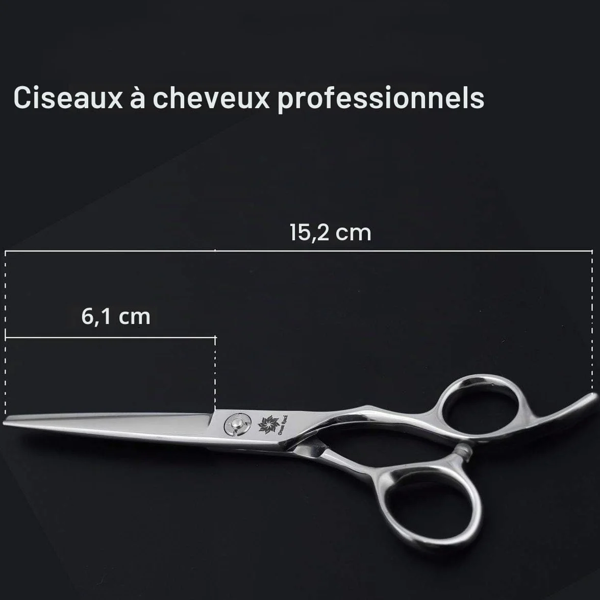 Dream Reach Ciseaux à cheveux Ciseaux de coiffure Ciseaux de coupe de cheveux Ciseaux pour Coiffeur Barbier pointus Acier inoxydable japonais 440C artisanal Coupe précise pour Salon