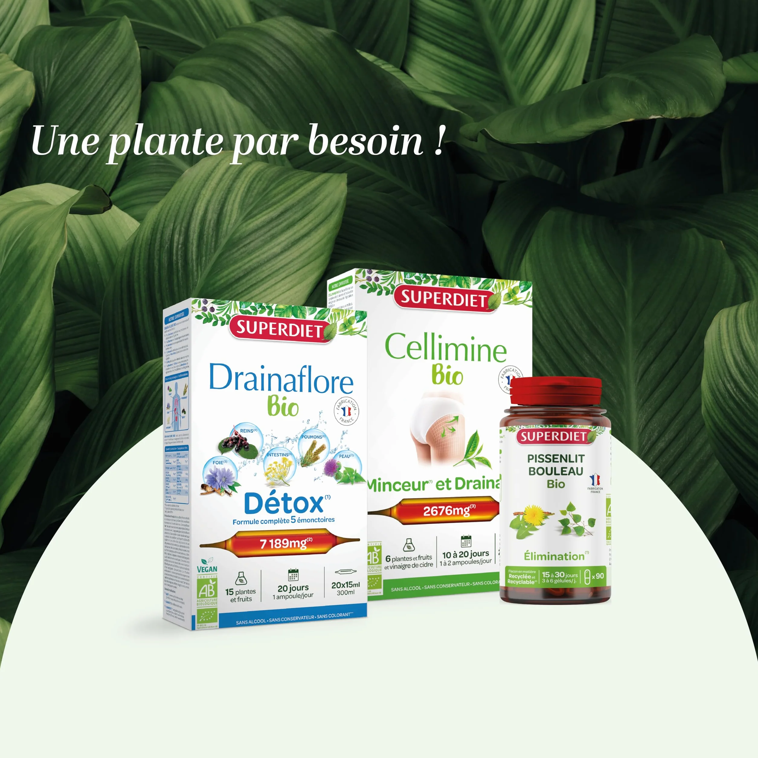SUPERDIET-DRAINAFLORE BIO Drainage Détox 5 émonctoires 20 ampoules 15 ml Fabrication française