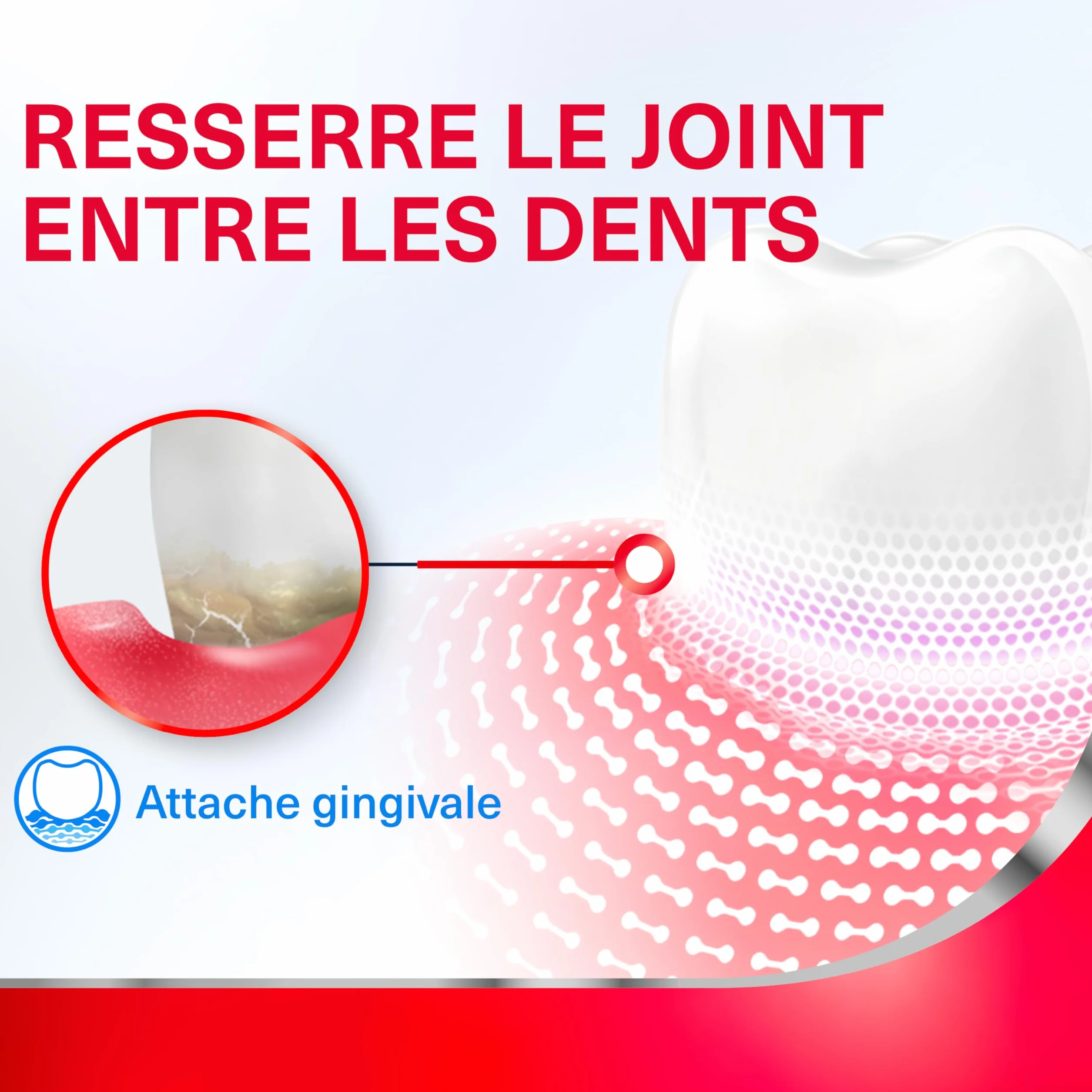 PARODONTAX Dentifrice Complete Protection Fraîcheur Intente 2 x 75 ml