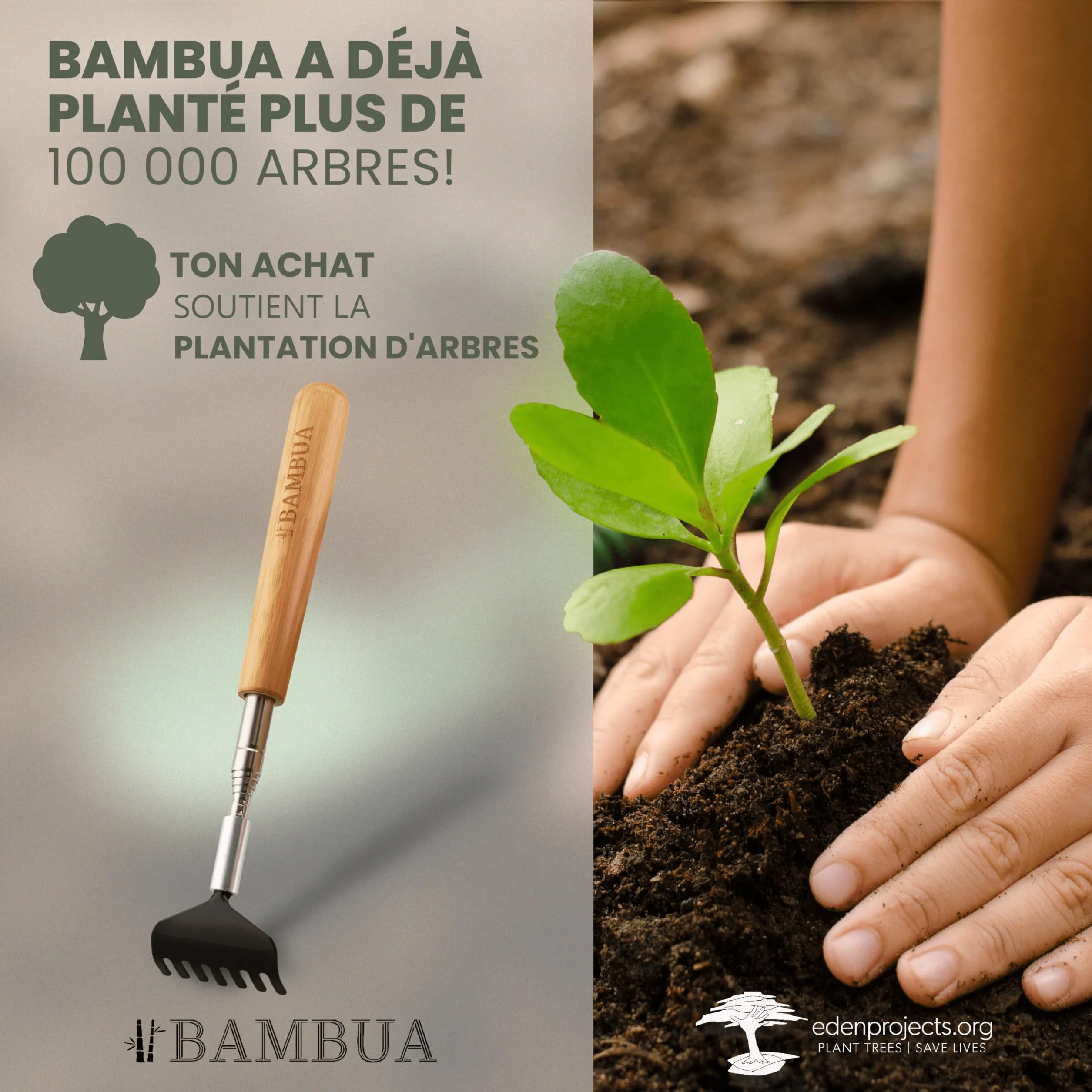 BAMBUA Gratte Dos Télescopique en Acier Inoxydable avec 5 Embouts - Manche en Bambou
