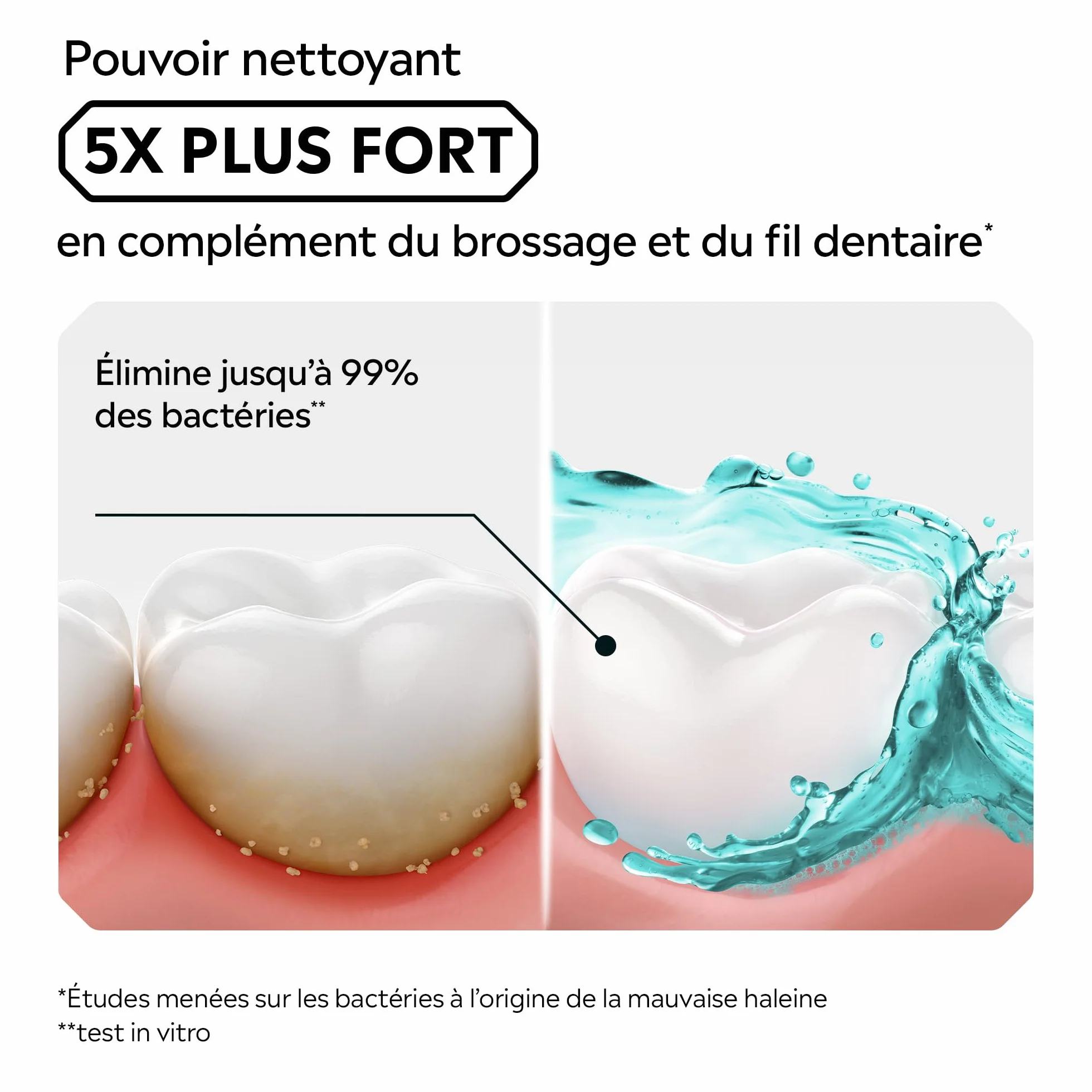 Listerine Bain de Bouche Quotidien Fraîcheur Intense 500 ml – Soin bucco-dentaire anti-plaque