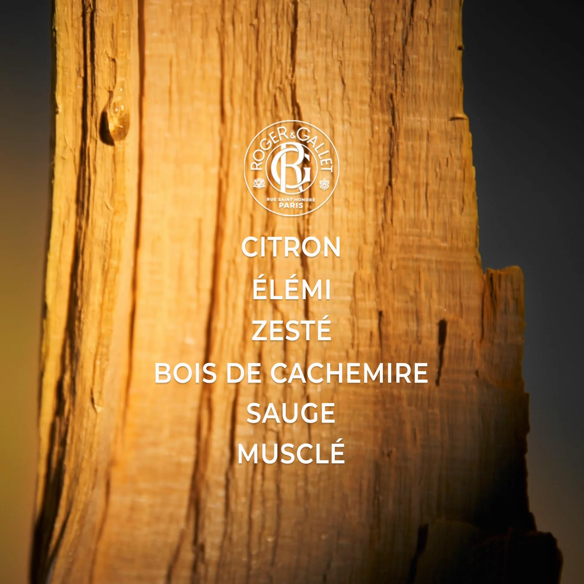 Roger&Gallet - Cologne Twist - Parfum Frais aux Notes de Citron, Sauge, Bergamote et Bois de Cachemire - Eau de Cologne avec 95% d’Ingrédients Naturels - Fragrance Mixte Revitalisante