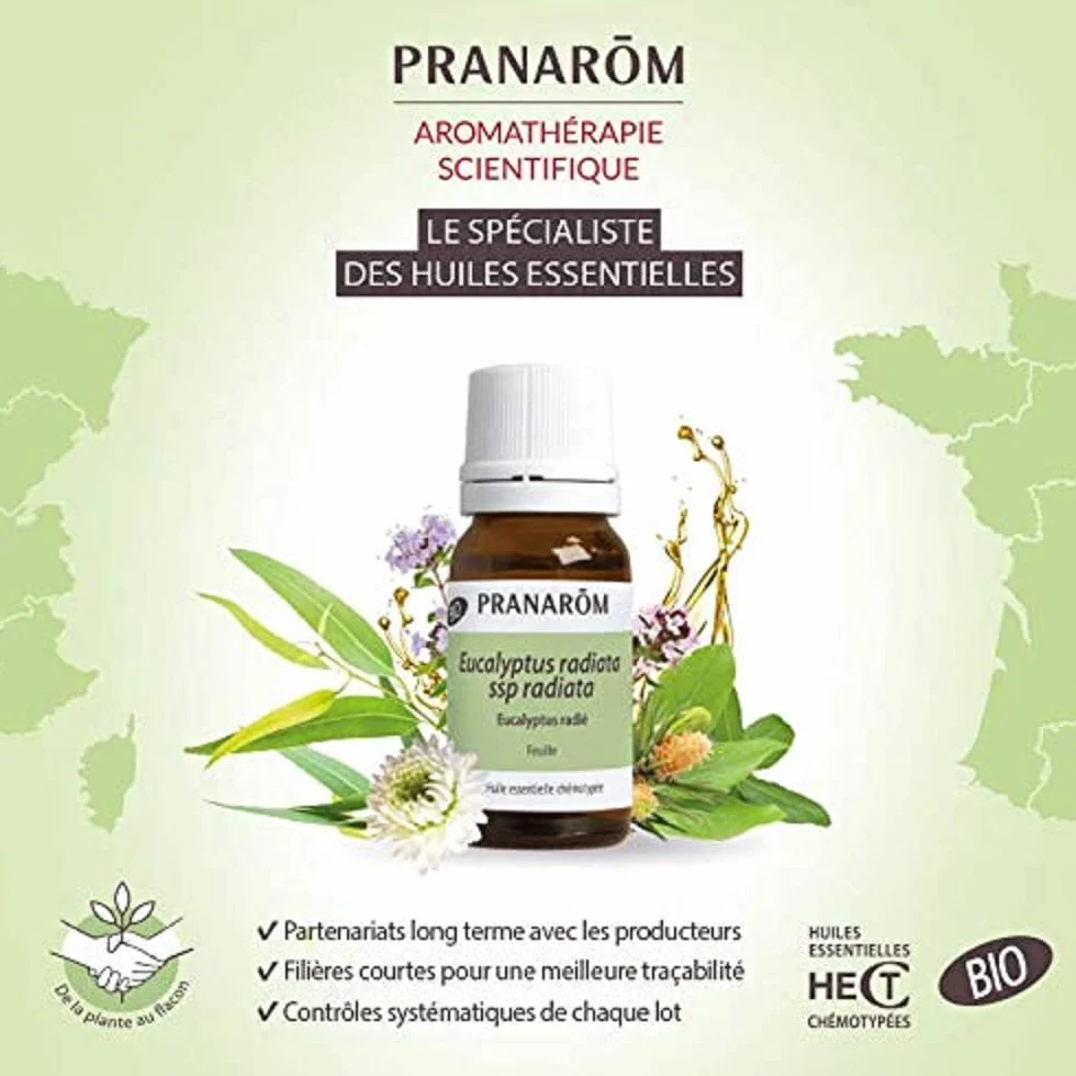 Pranarôm Huile Essentielle Eucalyptus Globuleux HECT 10 ml