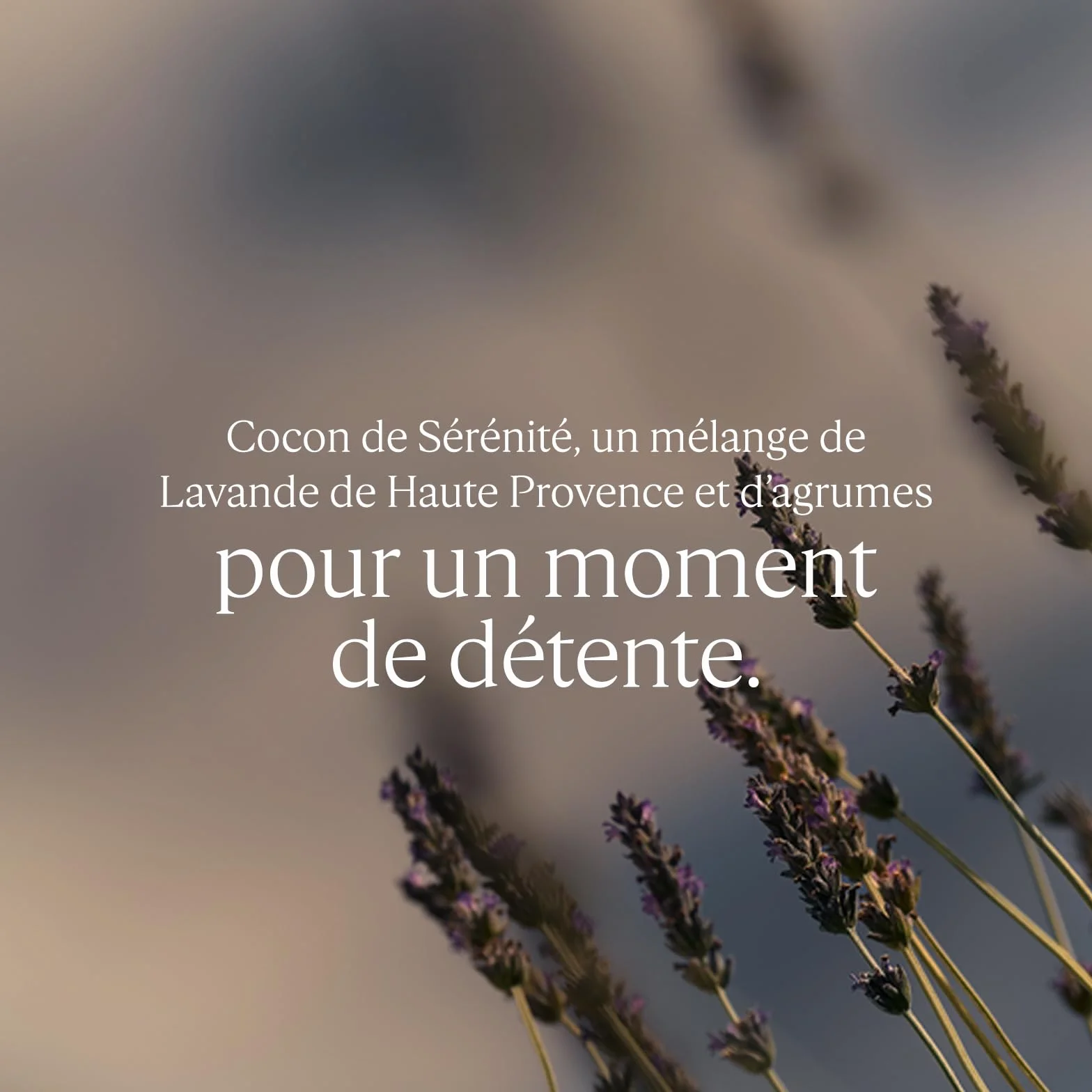 L'OCCITANE - Brume d'Oreiller Relaxante Cocon de Sérénité - 100 ml | Parfume votre intérieur, le linge, les draps et l'oreiller - Fabriqué en France