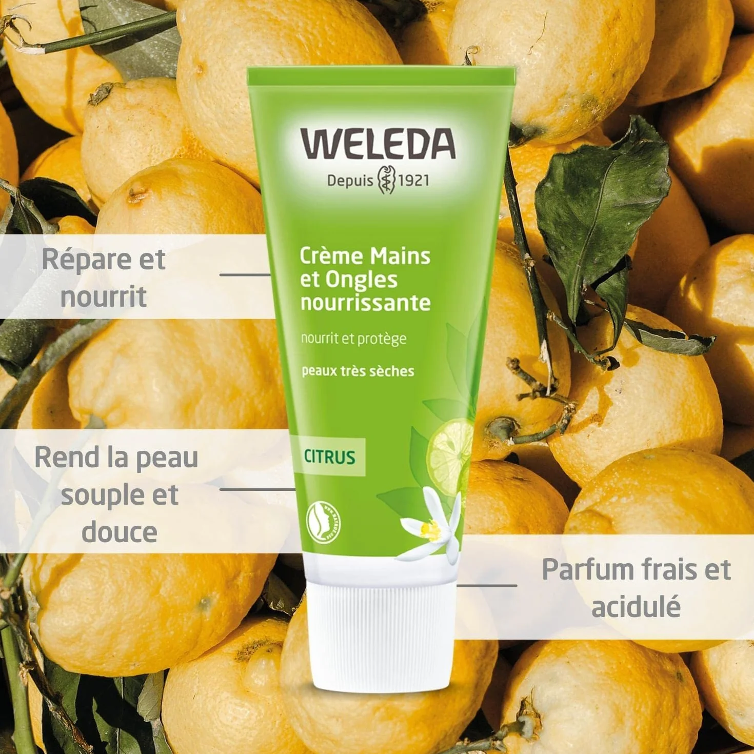 WELEDA Crème Mains et Ongles Nourrissante Citrus 50ml