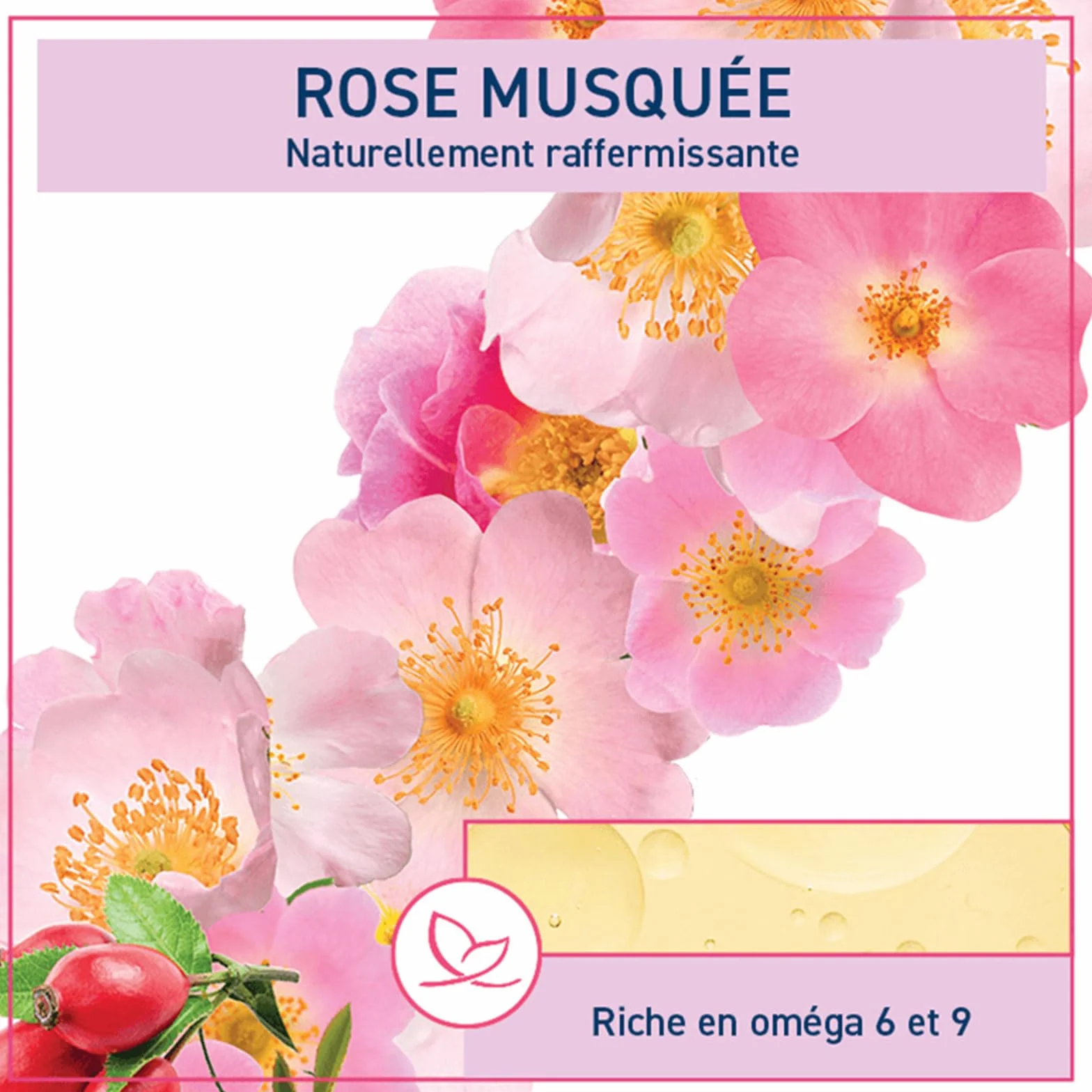 Natessance Huile Rose Musquée Réparatrice Anti-Âge 100ml