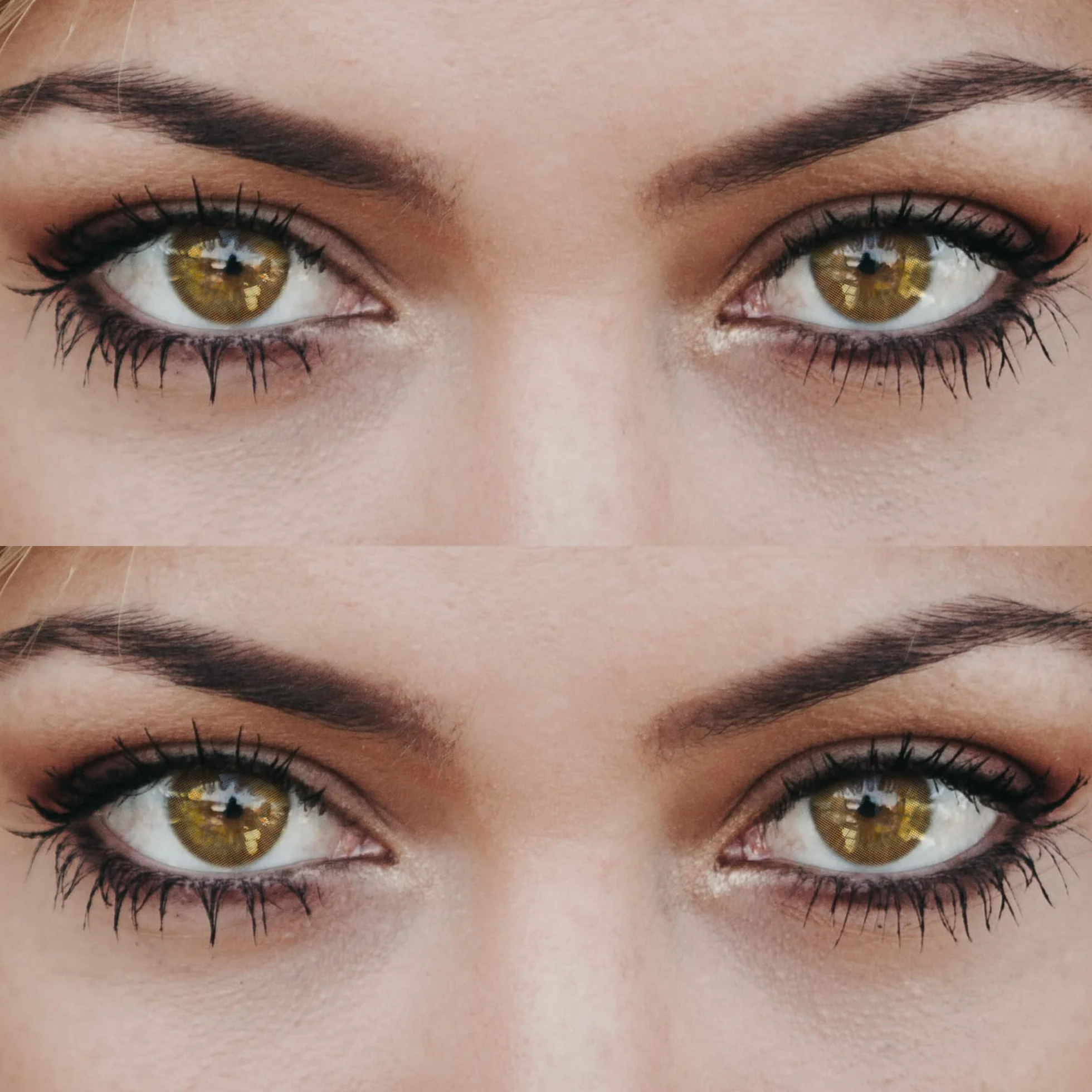 Glamlens lentilles de couleur marron naturelles New York Mel 1 paire 90 jours sans correction 0,00 dioptries