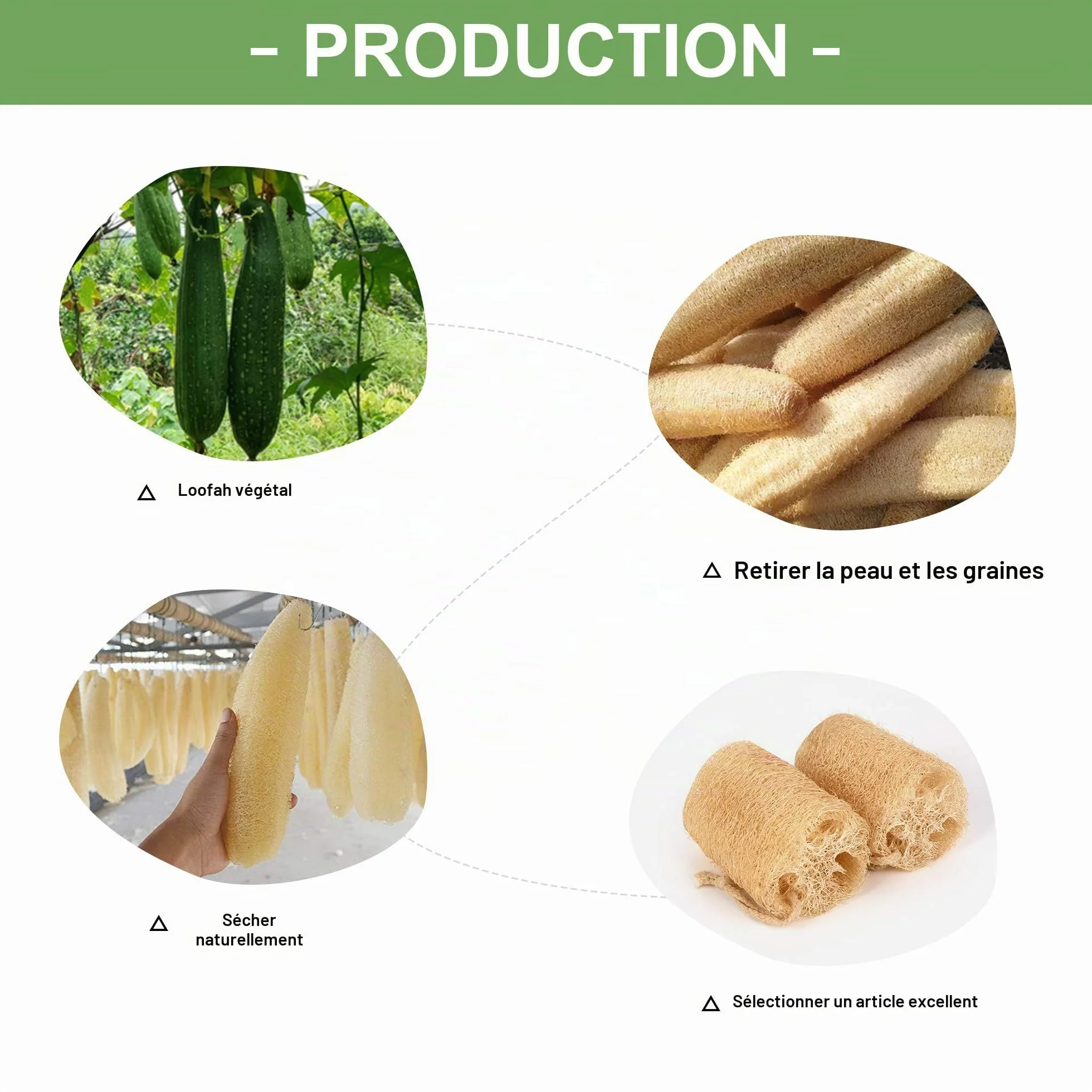 LOBO Lot de 4 éponges en luffa naturel pour le bain quotidien