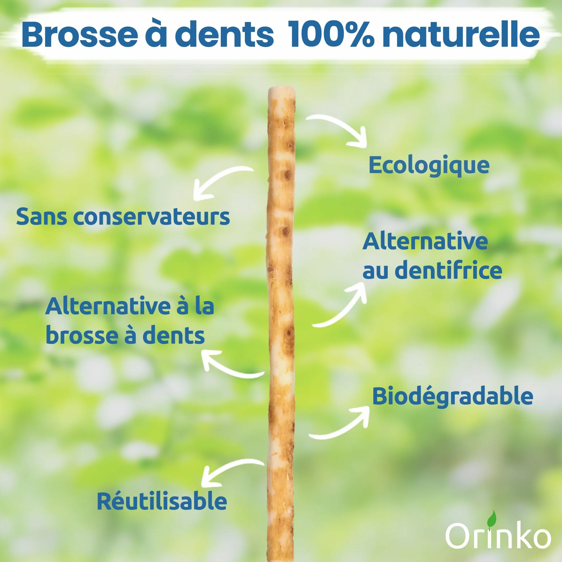ORINKO Lot de 5 Bâtons de Siwak + Étui de protection – Brosse à Dents 100% Naturelle