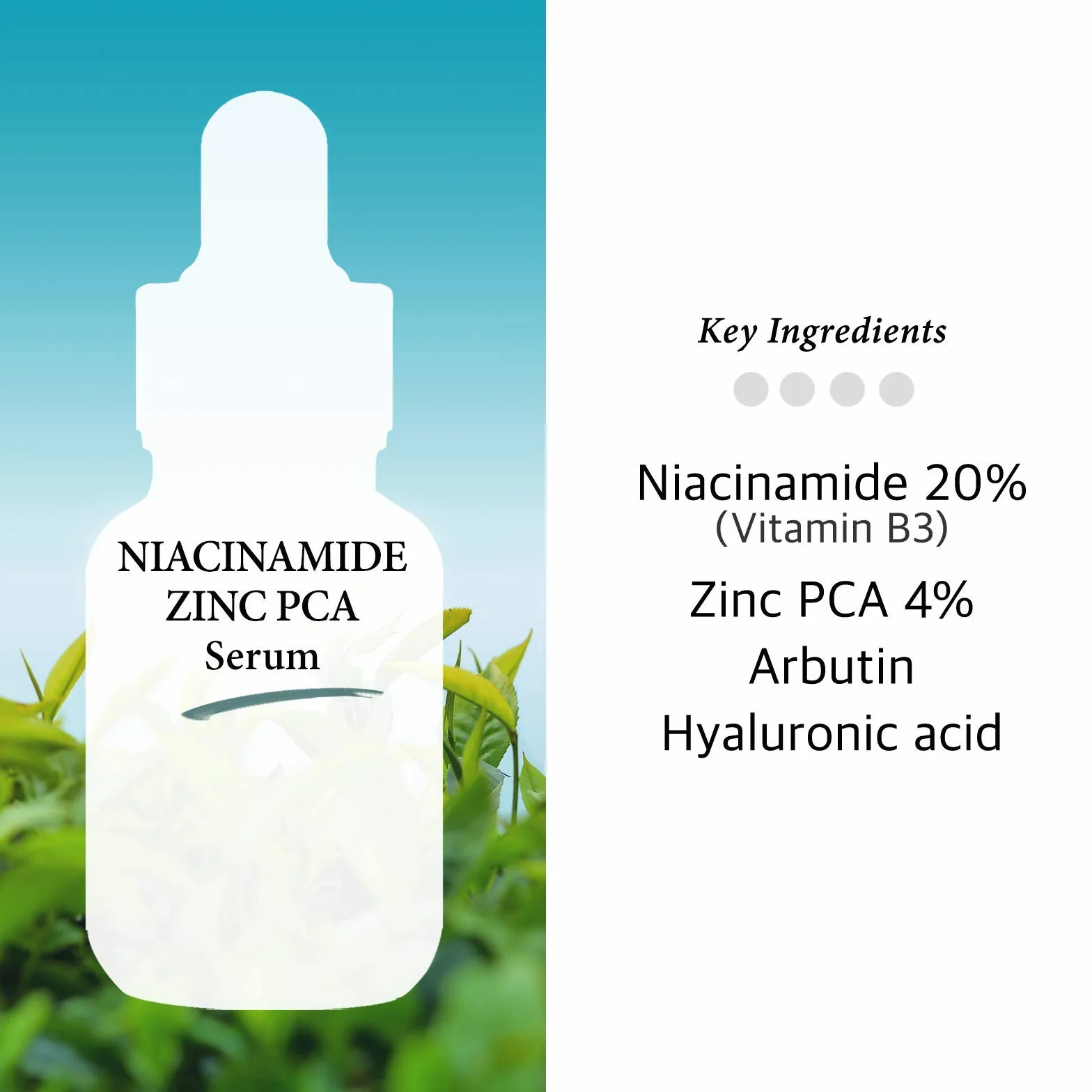 Cos De BAHA Sérum À La Niacinamide 20% + Zinc Pca 4% 1 Fl Oz