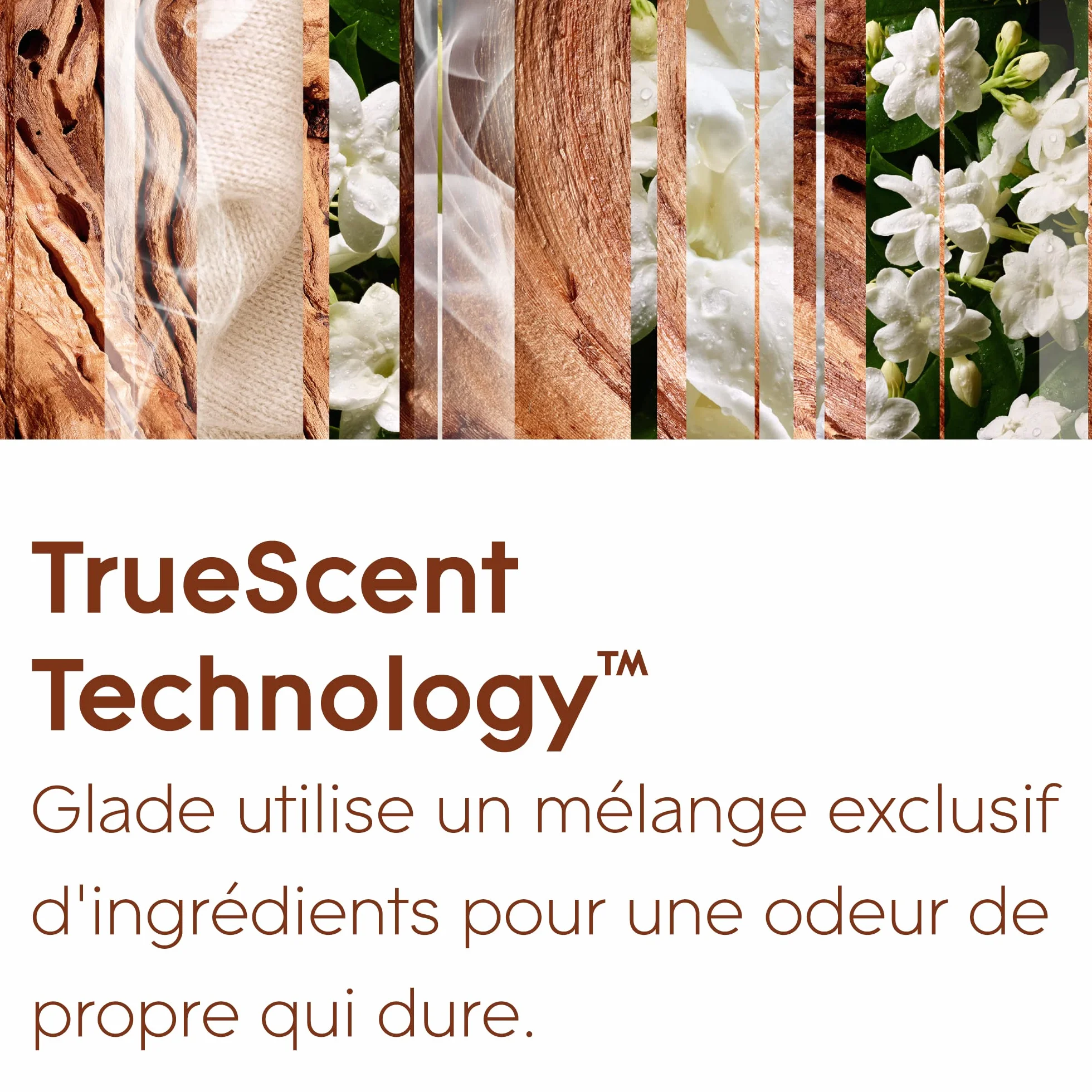 Glade Sense et Spray Diffuseur à Détection de Mouvement - Sensual Sandalwood & Jasmine - 1 Diffuseur et 3 Recharges 18ml