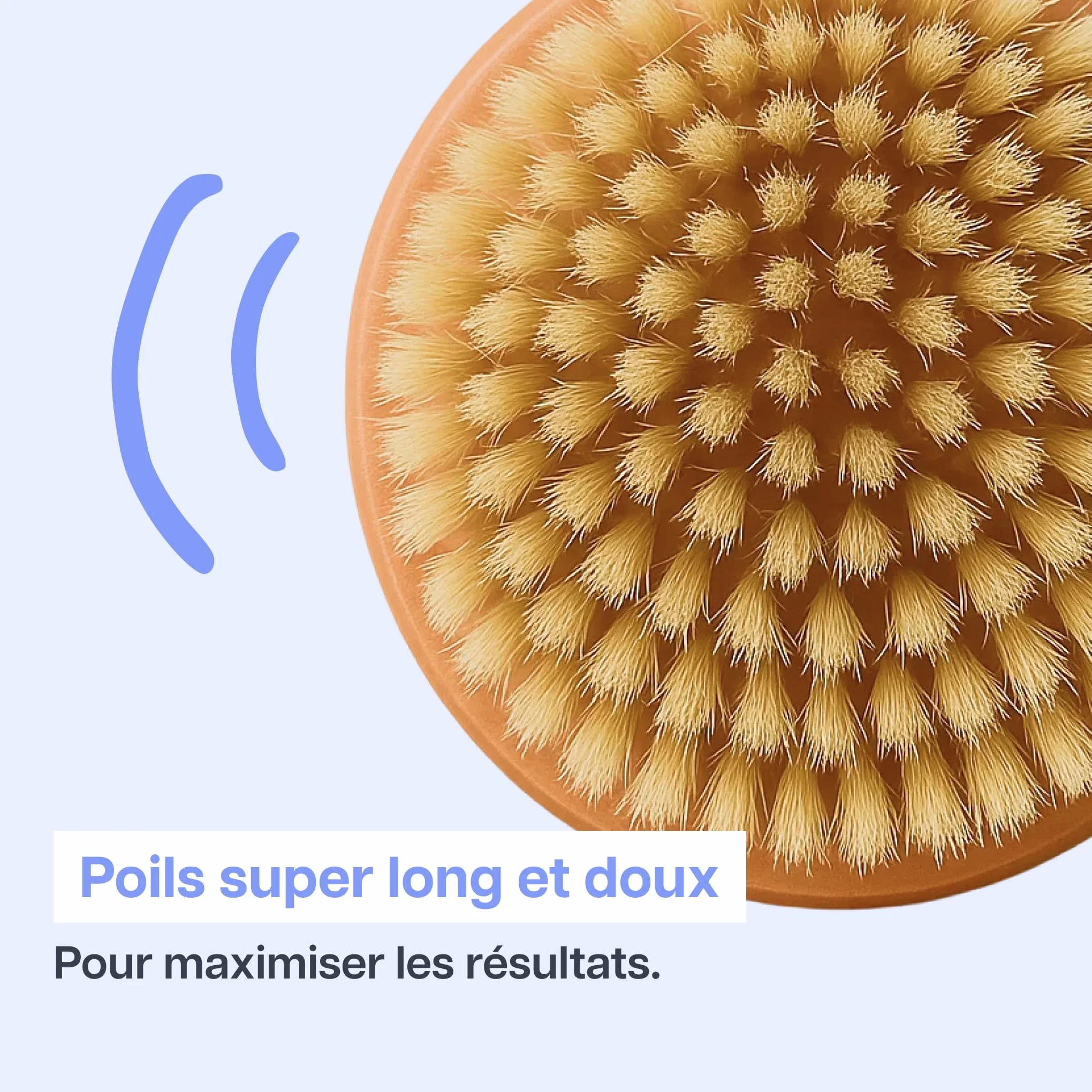 Brosse de Massage à Sec Anti-Cellulite Drainage Lymphatique Exfoliant Corps Qualité Supérieure Marque Française