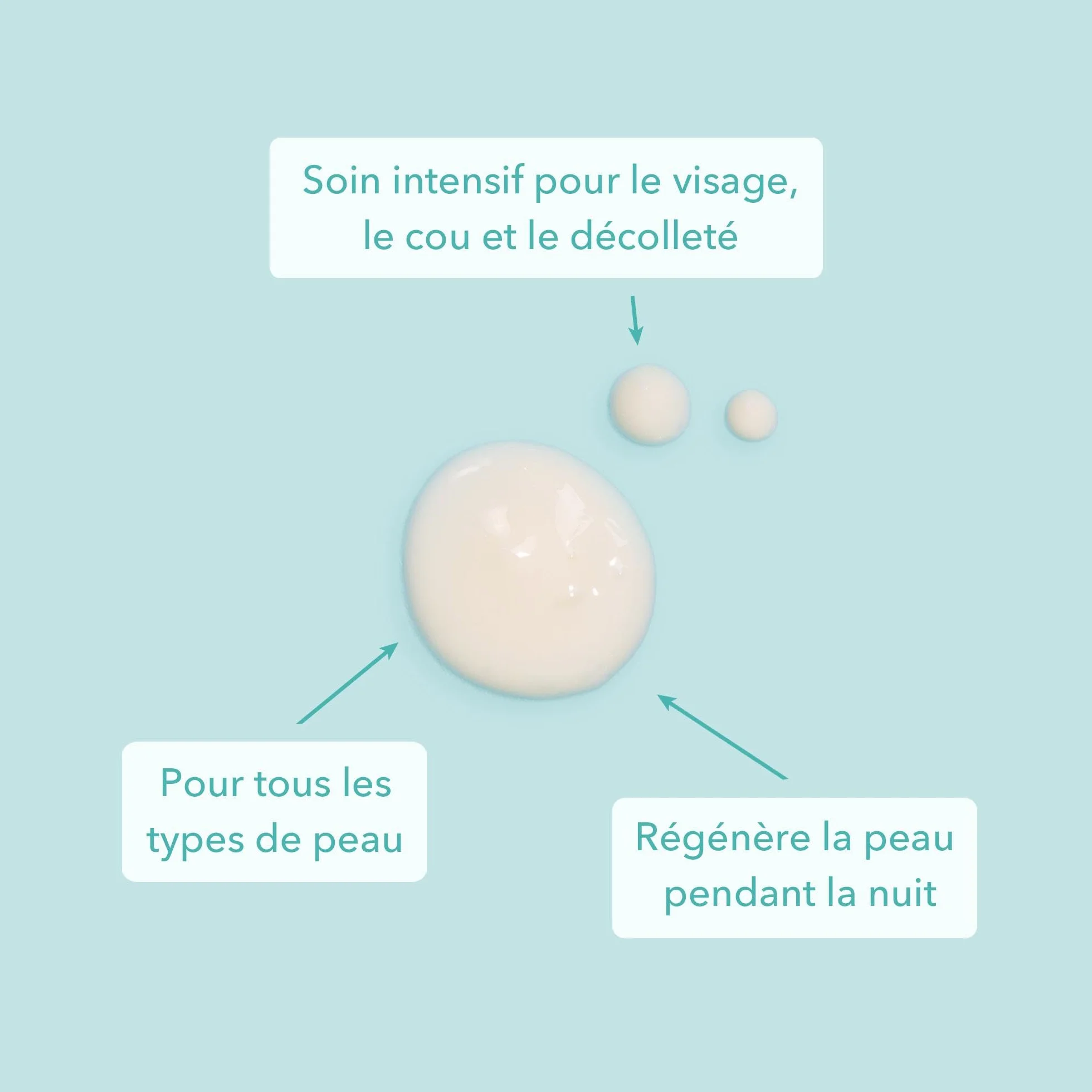 colibri skincare NIGHT CREAM (80ml) - Crème de nuit anti-rides avec rétinol, acide hyaluronique et céramides pour femme et homme - Soin de nuit pour le visage, le cou et le contour des yeux