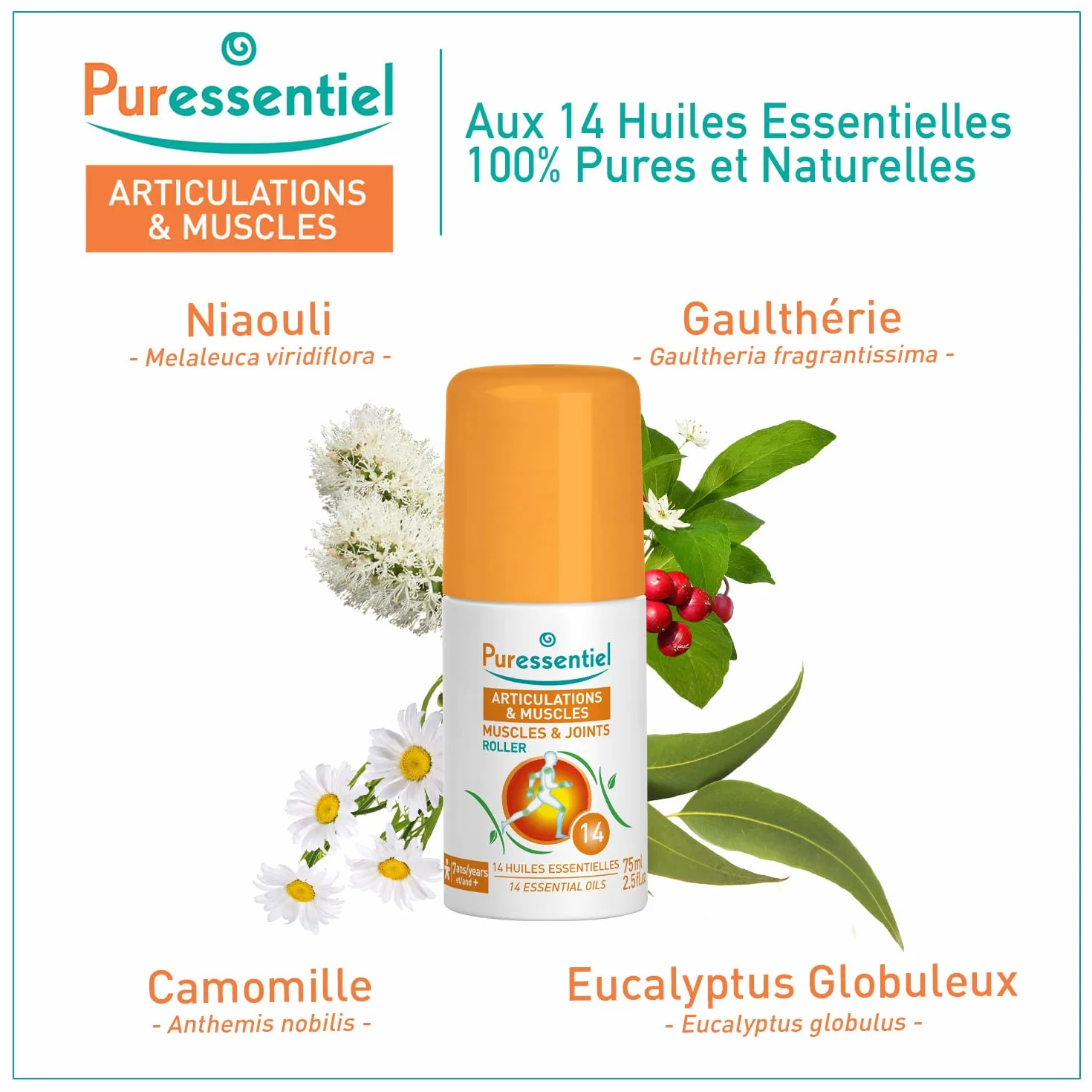 Puressentiel Roller aux 14 Huiles Essentielles Articulations et Muscles Soulage Douleurs Musculaires Articulaires 75 ml