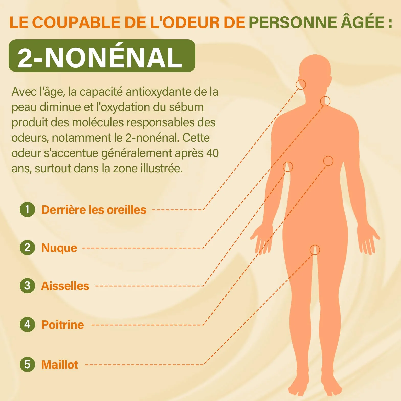 Savon au Kaki Déodorant Naturel Contre les Odeurs Corporelles, lot de 3