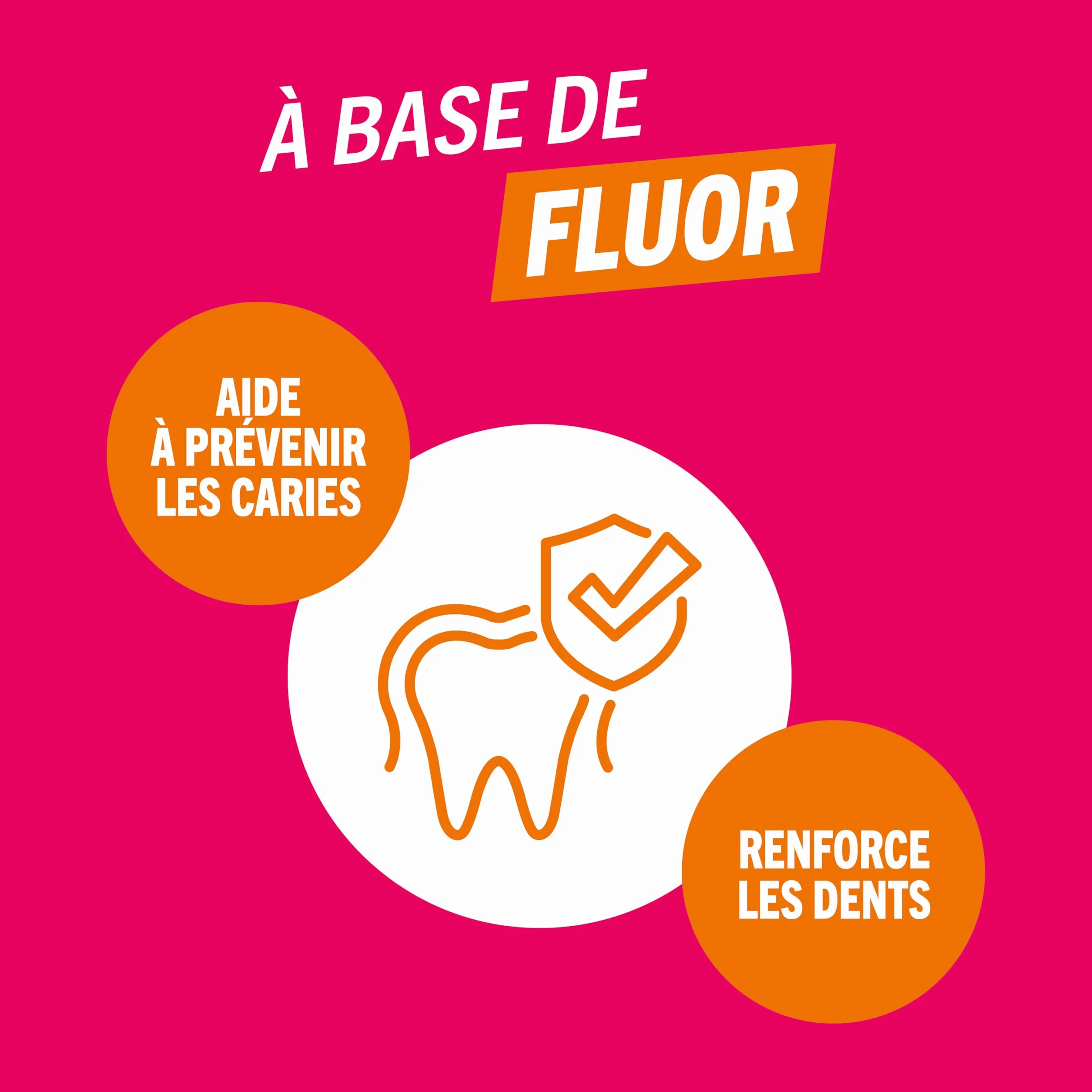 The Breath Co. Bain de Bouche Sans Alcool Prévention Caries 500ml Haleine Fraîche 12h Menthe étincelante