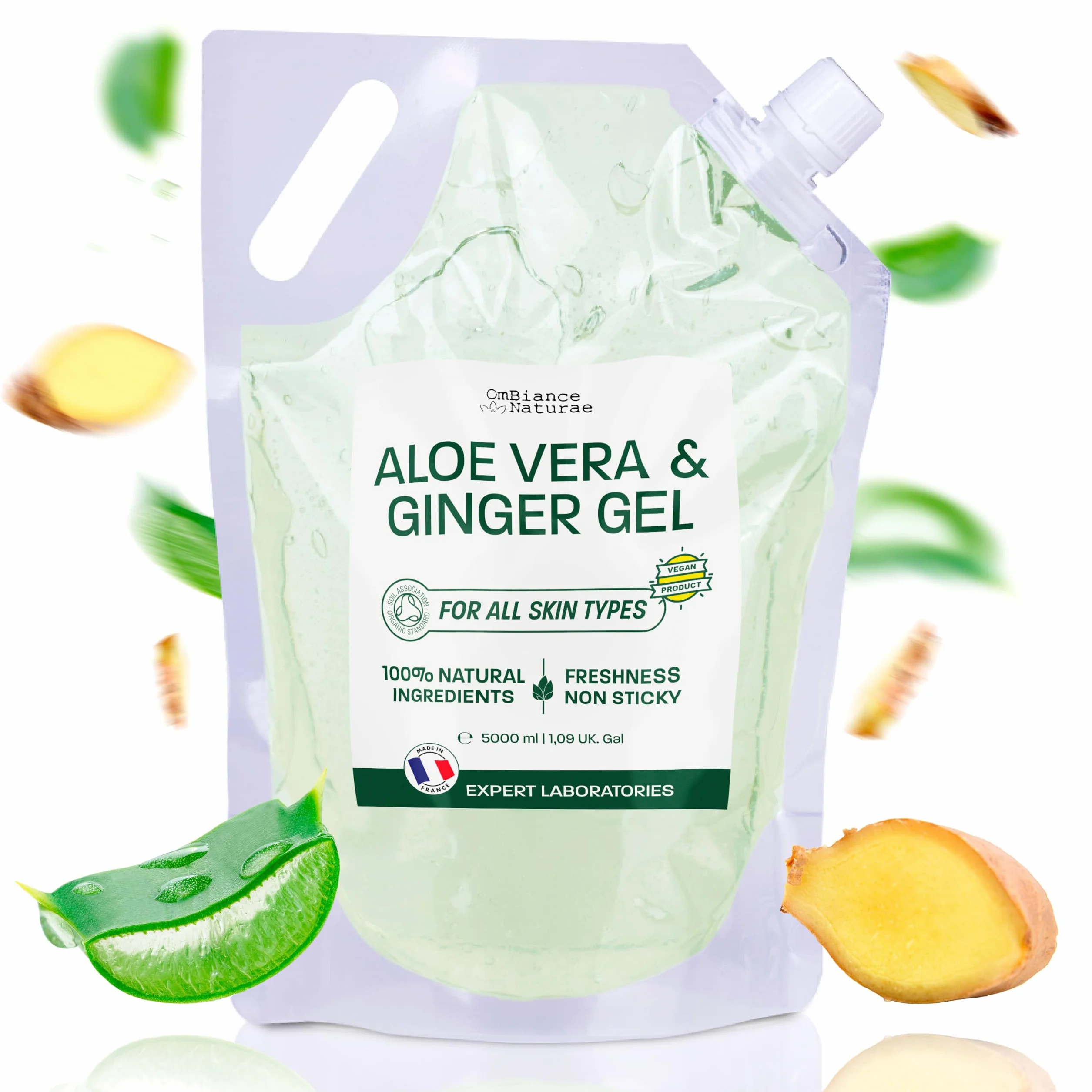 Gel Aloe Vera & Gingembre – Soin Naturel à Base de Feuille Fraîche – Hydratant, Tonifiant & Raffermissant – Visage, Corps, Cheveux – Après-Soleil, Jambes Lourdes – Aloe Écologique (5000)