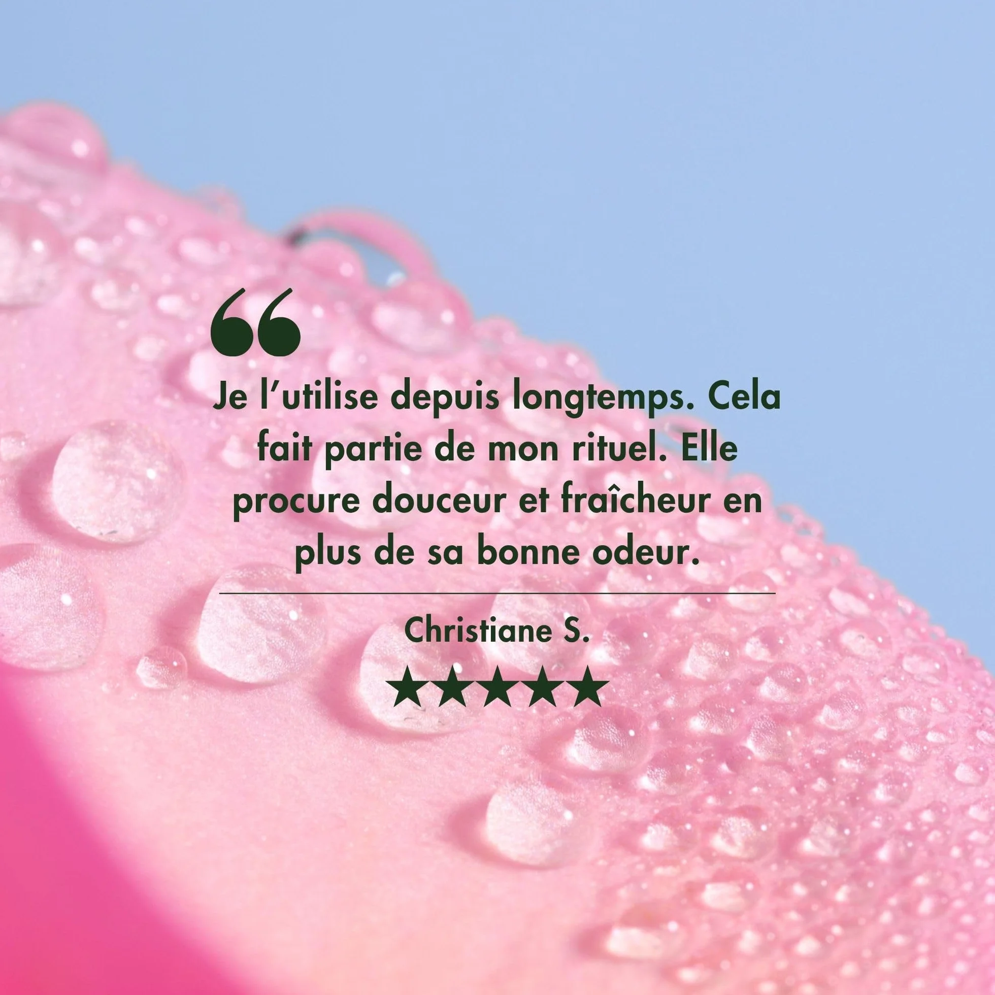 Melvita Eau Florale Tonifiante Rafraîchissante 100% Naturelle Certifiée Bio Fabriquée en France