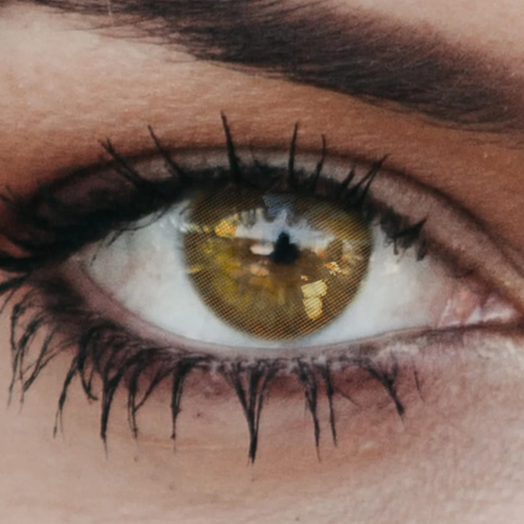 Glamlens lentilles de couleur marron naturelles New York Mel 1 paire 90 jours sans correction 0,00 dioptries