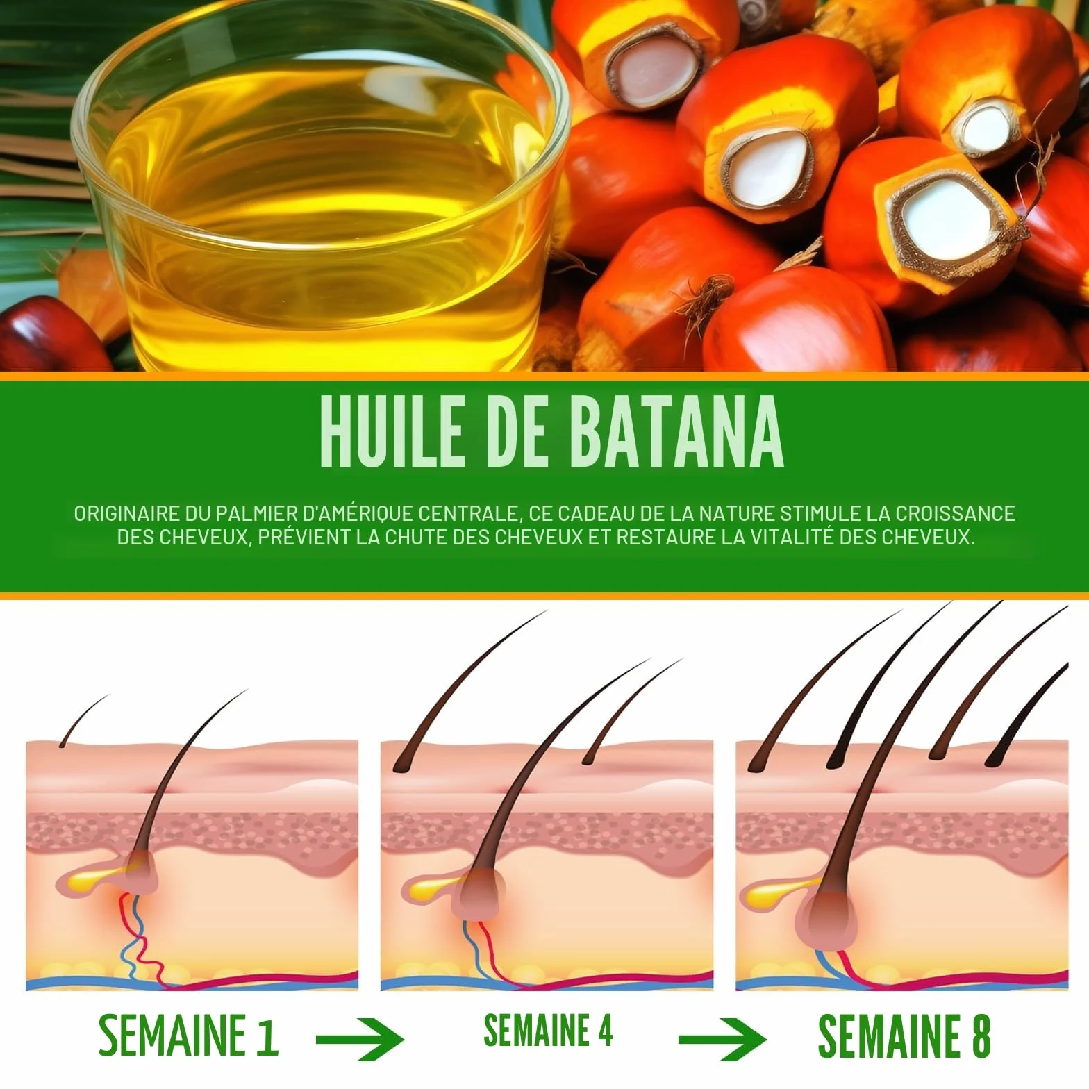 Huile Batana Bio 100% Naturelle et Pure pour la Croissance des Cheveux et Brillance