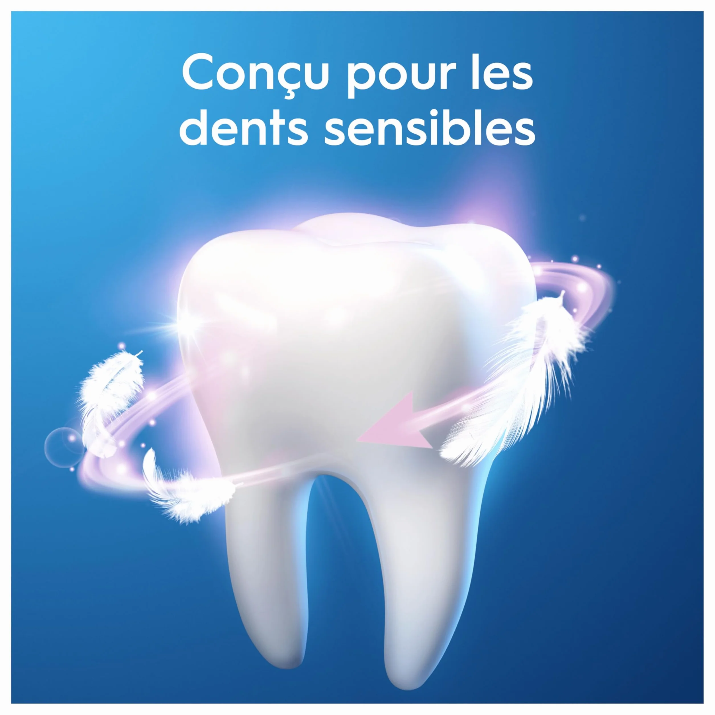 Oral-B Dentifrice Pro-Expert Calm Sensation Dents Sensibles Protection Gencives Lot de 3