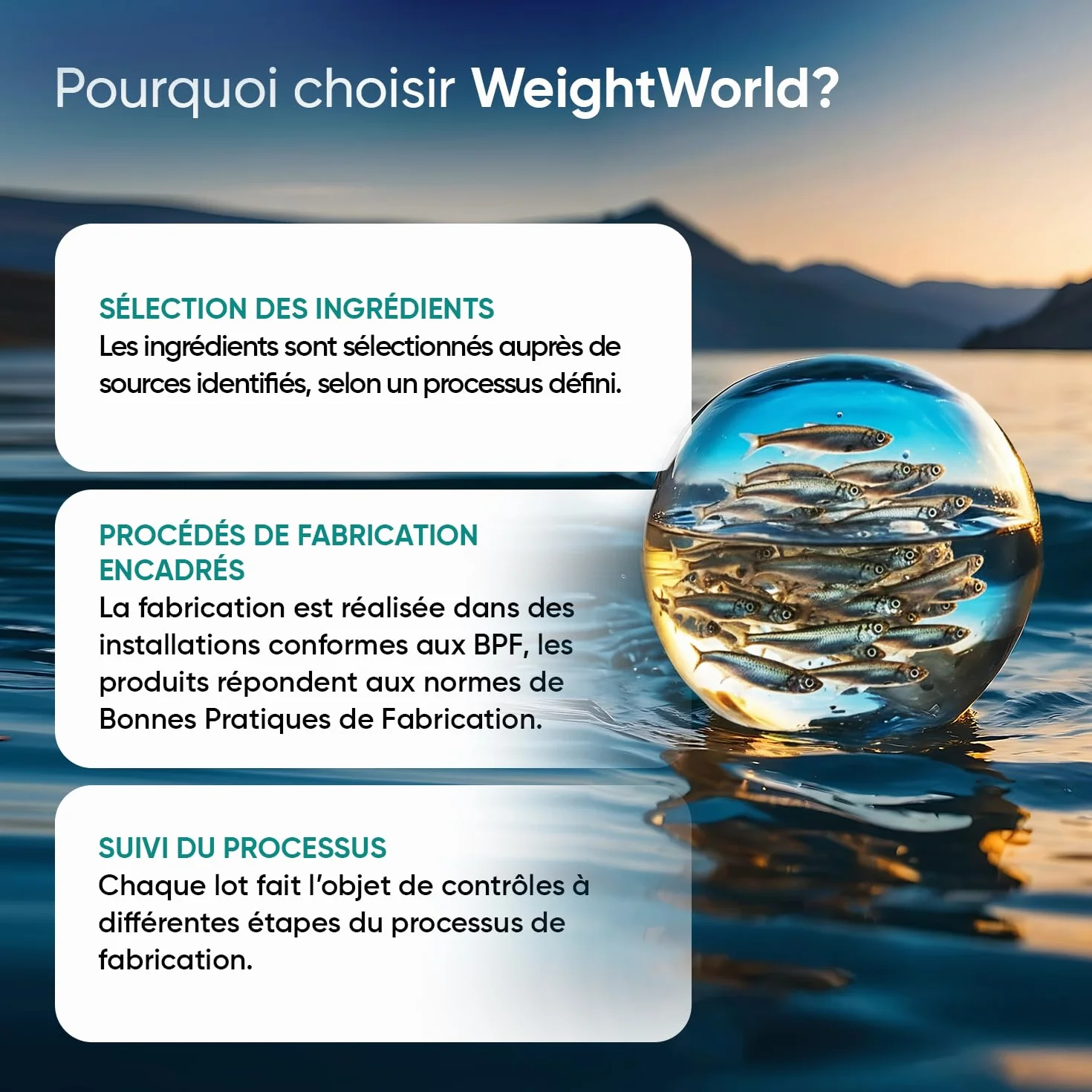 Oméga 3 Huile de Poisson Gélules 2000mg, 240 Gélules, EPA 660mg & DHA 440mg, sans Odeur
