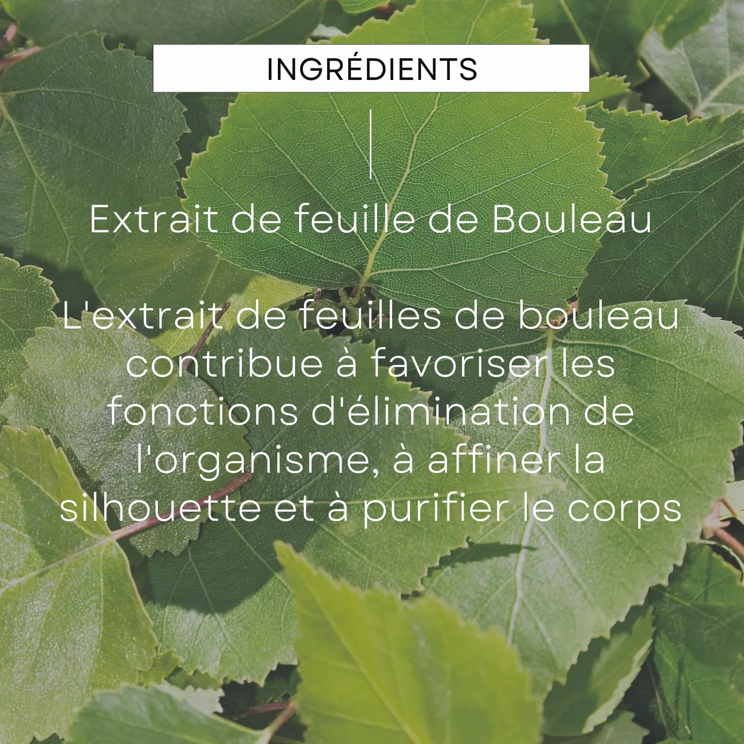 WELEDA Huile de Massage Anti-Cellulite au Bouleau 100ml NATRUE Vegan