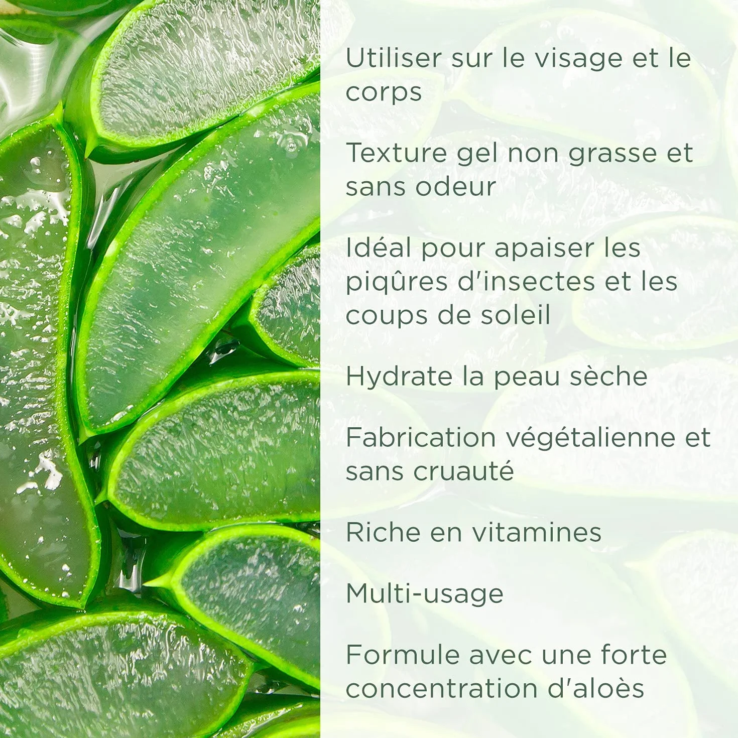 PraNaturals Gel à L’Aloe Vera 200ml Apaisant Hydratant