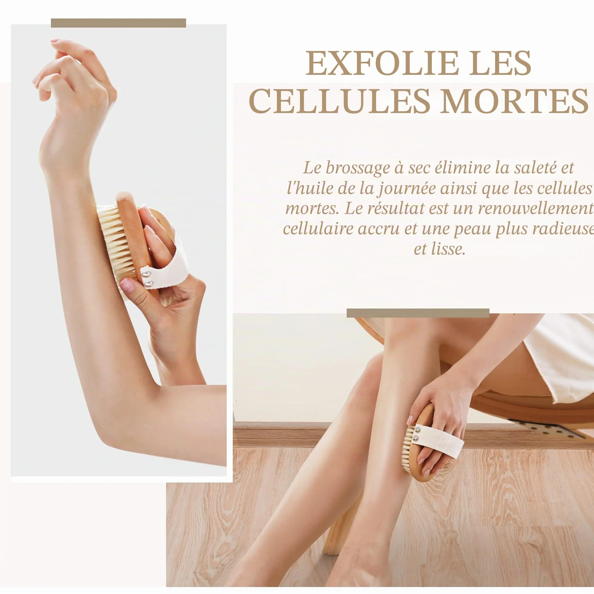Brosse à sec pour le corps en bois de hêtre naturel 100% poils de sanglier anti-cellulite