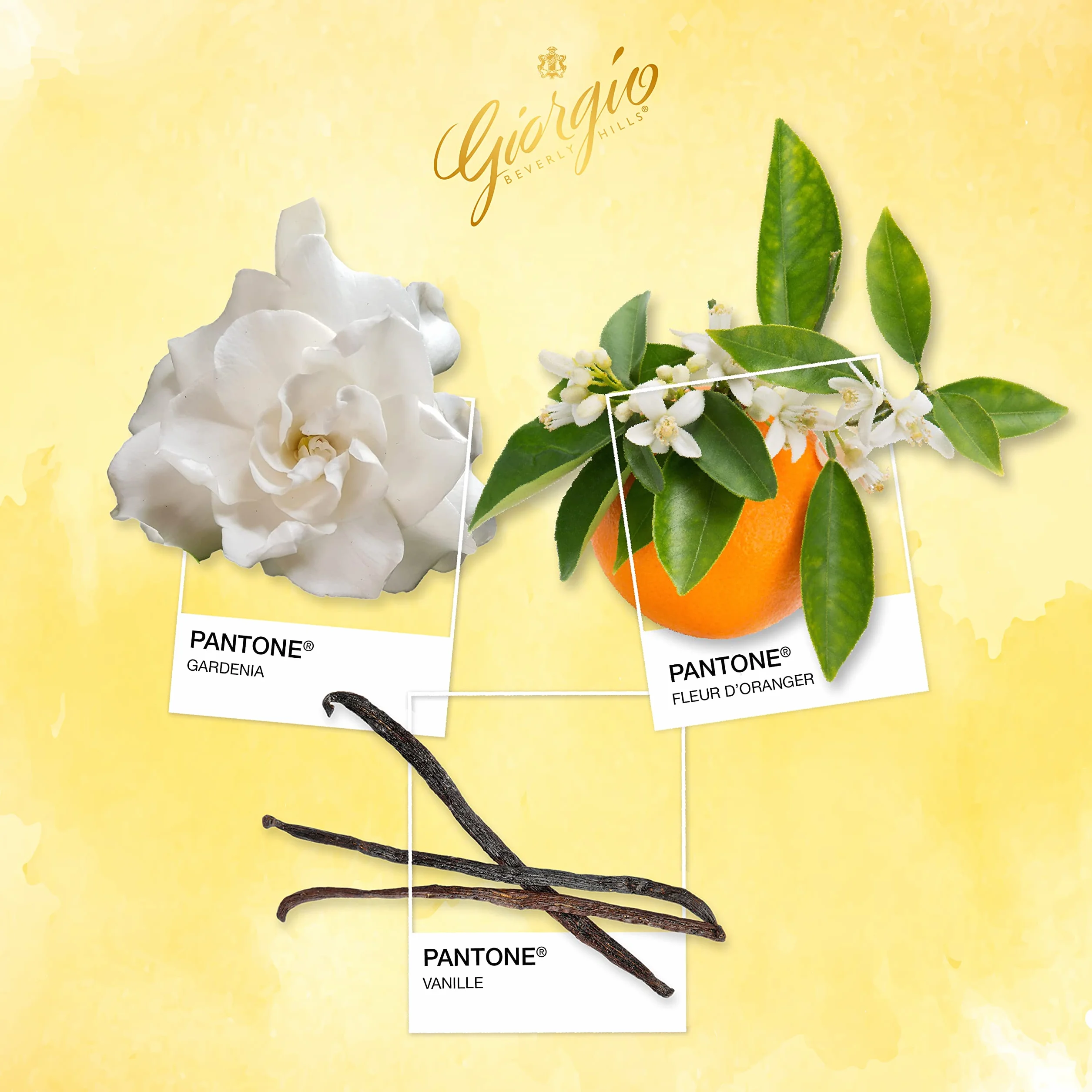Giorgio Beverly Hills, Coffret Parfum Duo, Eau de Toilette pour Femme (90 ml) et Lotion Parfumée pour le Corps (50 ml), Senteur Florale, Poudrée et Intense