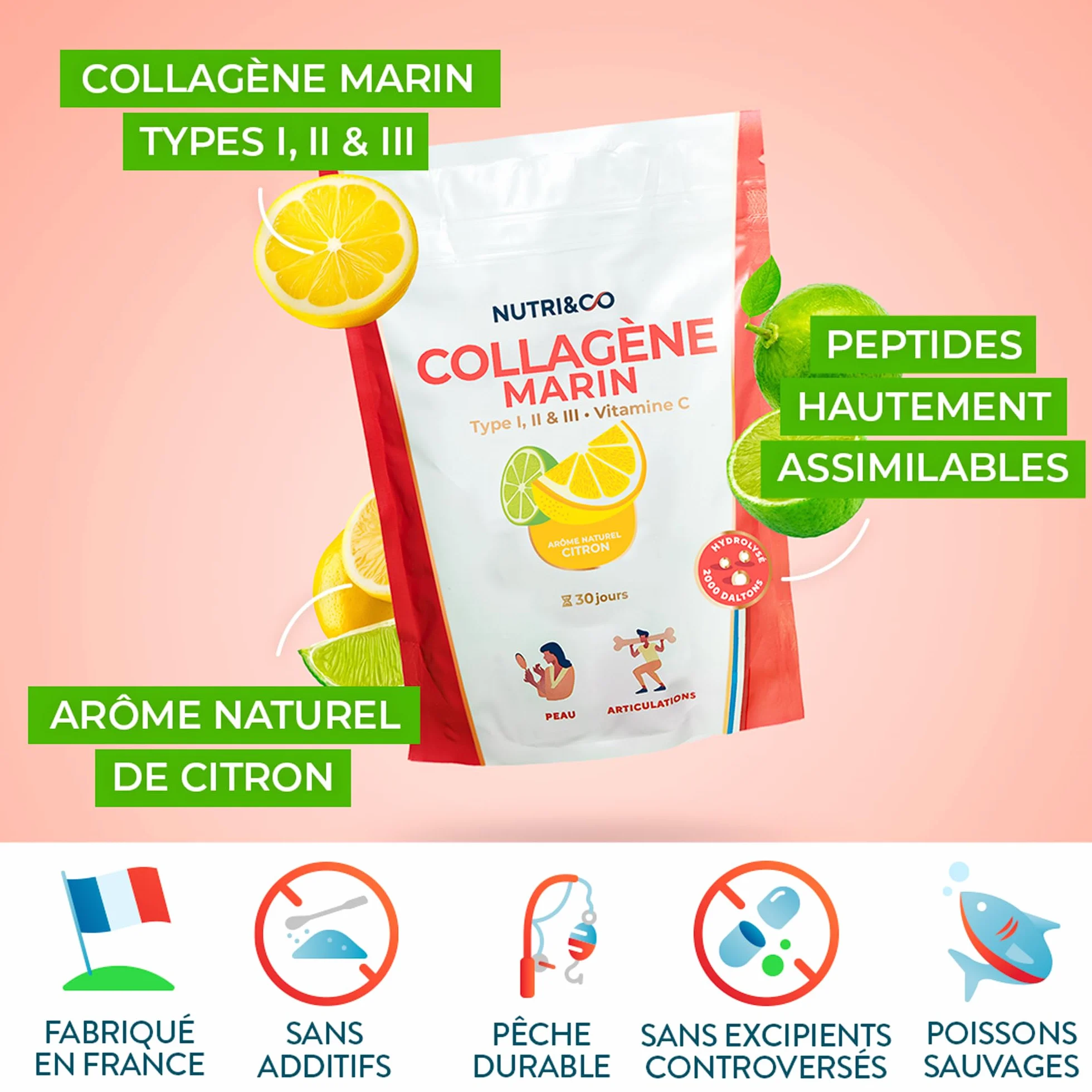 NUTRI & CO Collagene Marin Poudre Types 1, 2, 3 + Vitamine C, Naticol® & Cartydiss®, Peptides Hydrolysés 2000 DA, 180g, Citron