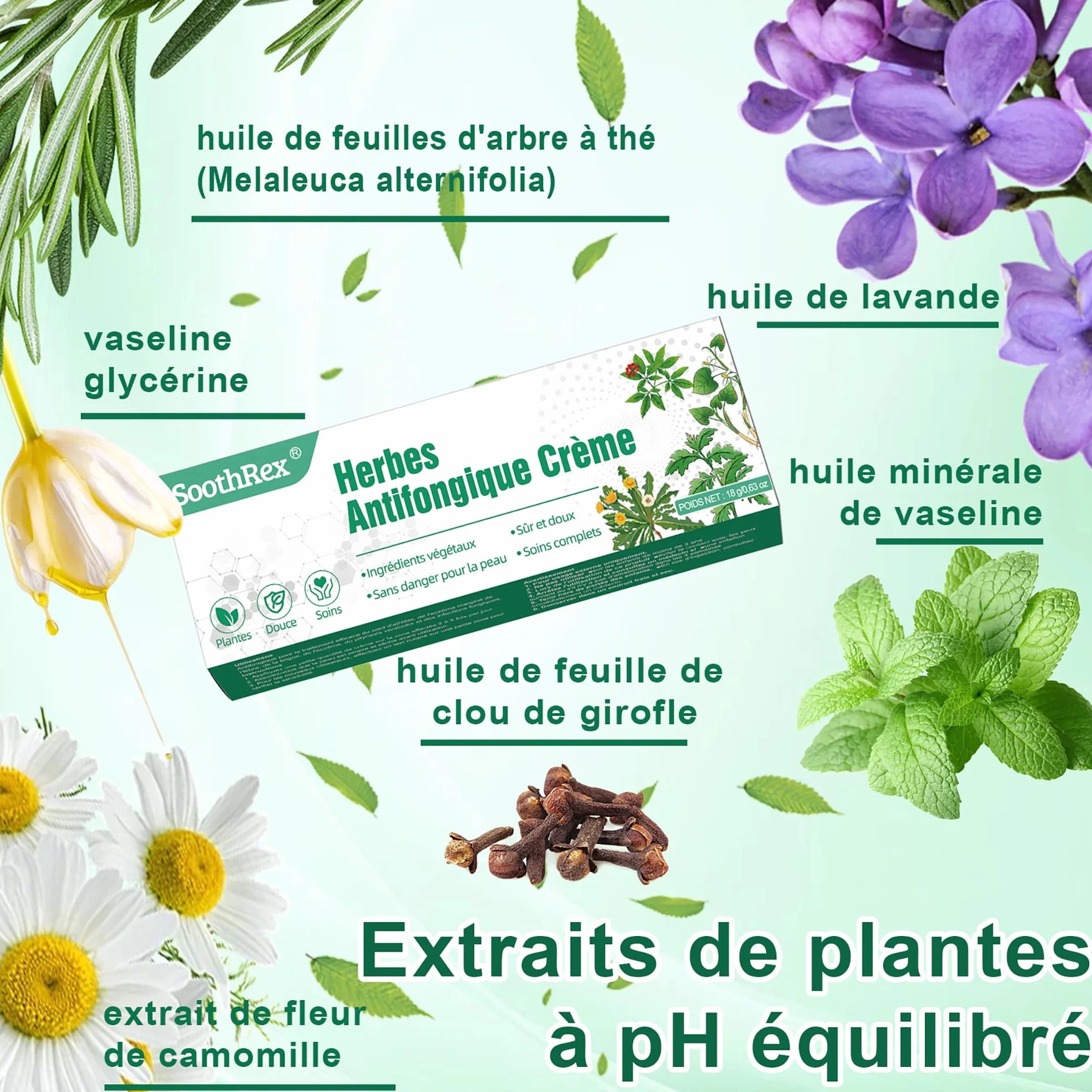 Crème antifongique à base de plantes pour pied d'athlète, teigne, eczéma marginé de Hebra