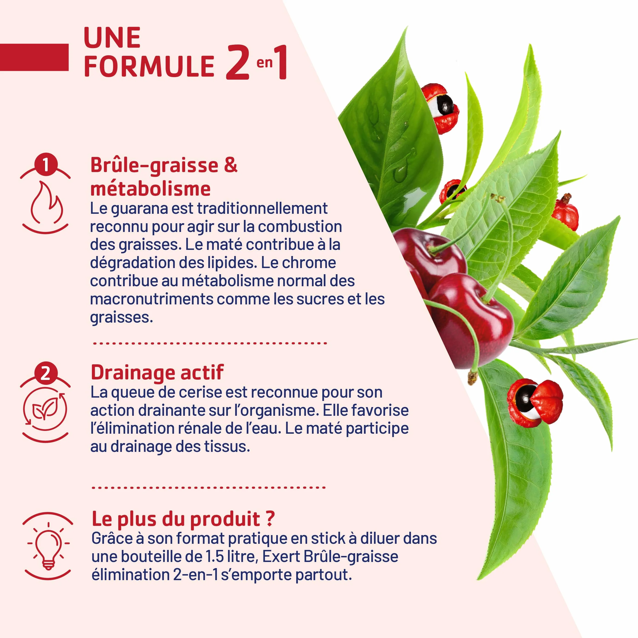 JUVAMINE Brûle-Graisse 14 Sticks Minceur Chrome Guarana Queue de Cerise Maté Arôme Ananas Fabriqué en France