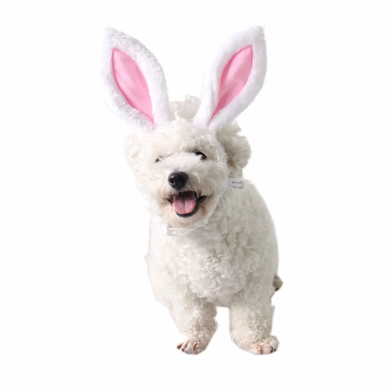 Holibanna Bandes pour Animaux de Compagnie avec Oreilles de Lapin Accessoire Cosplay pour Chiens et Chats S pour Halloween et Fêtes