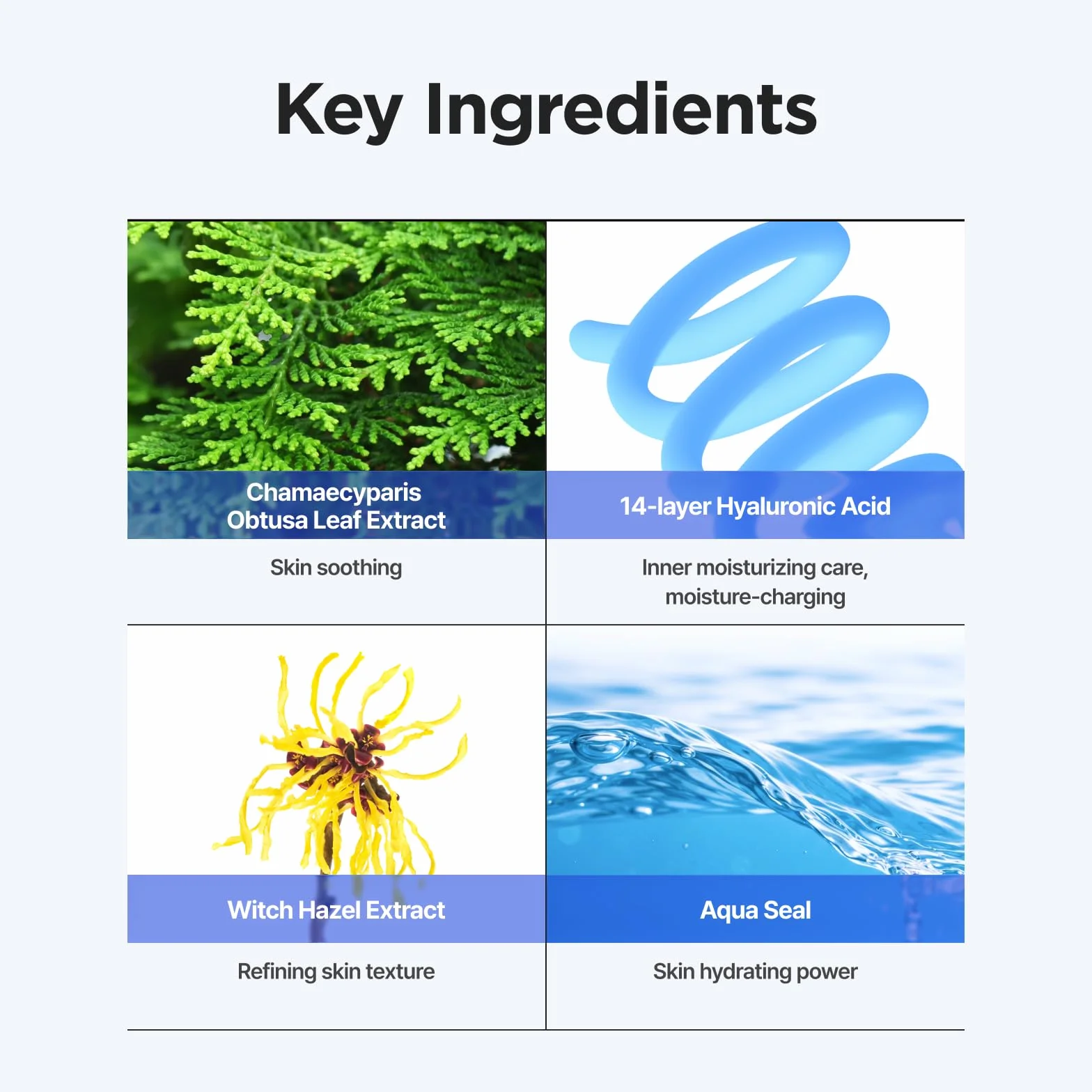 ISNTREE Ultra-Low Molecular Hyaluronic Acid Toner (300 ml)