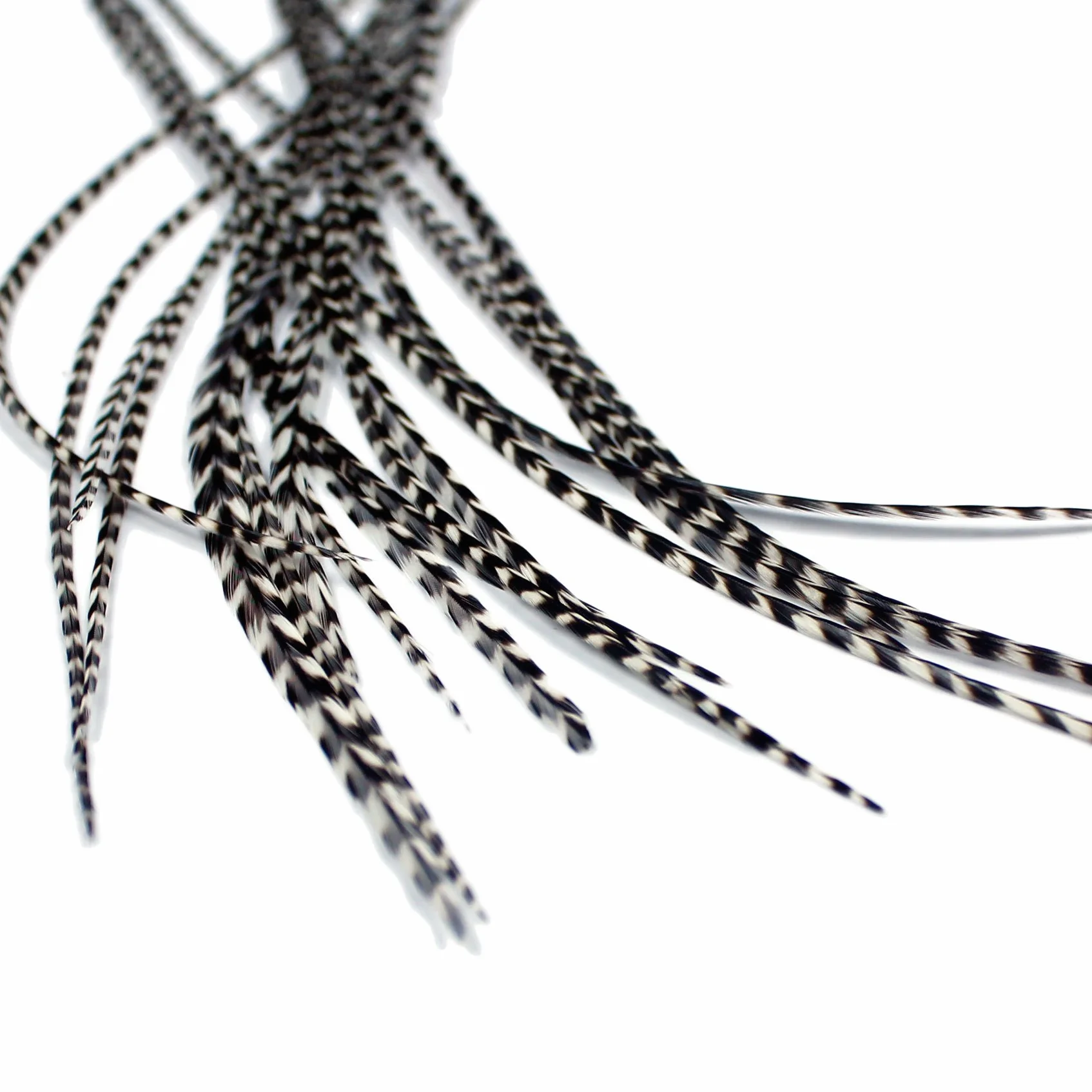 Extensions De Cheveux En Vraies Plumes + anneaux: Grizzly (5 plumes)