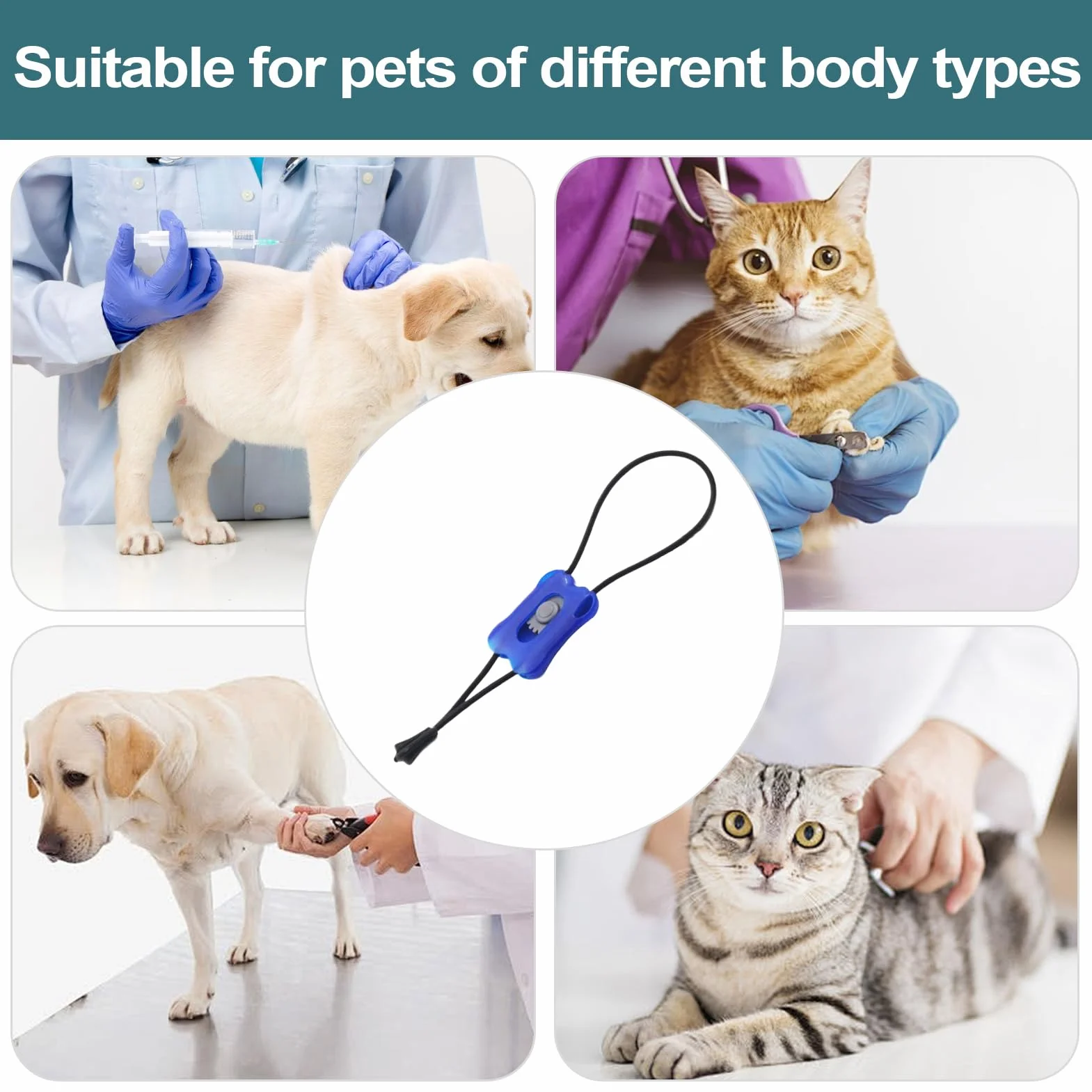 Garrot Élastique Premiers Secours Bandage Portable Contrôle Saignement Immédiat Chien Chat