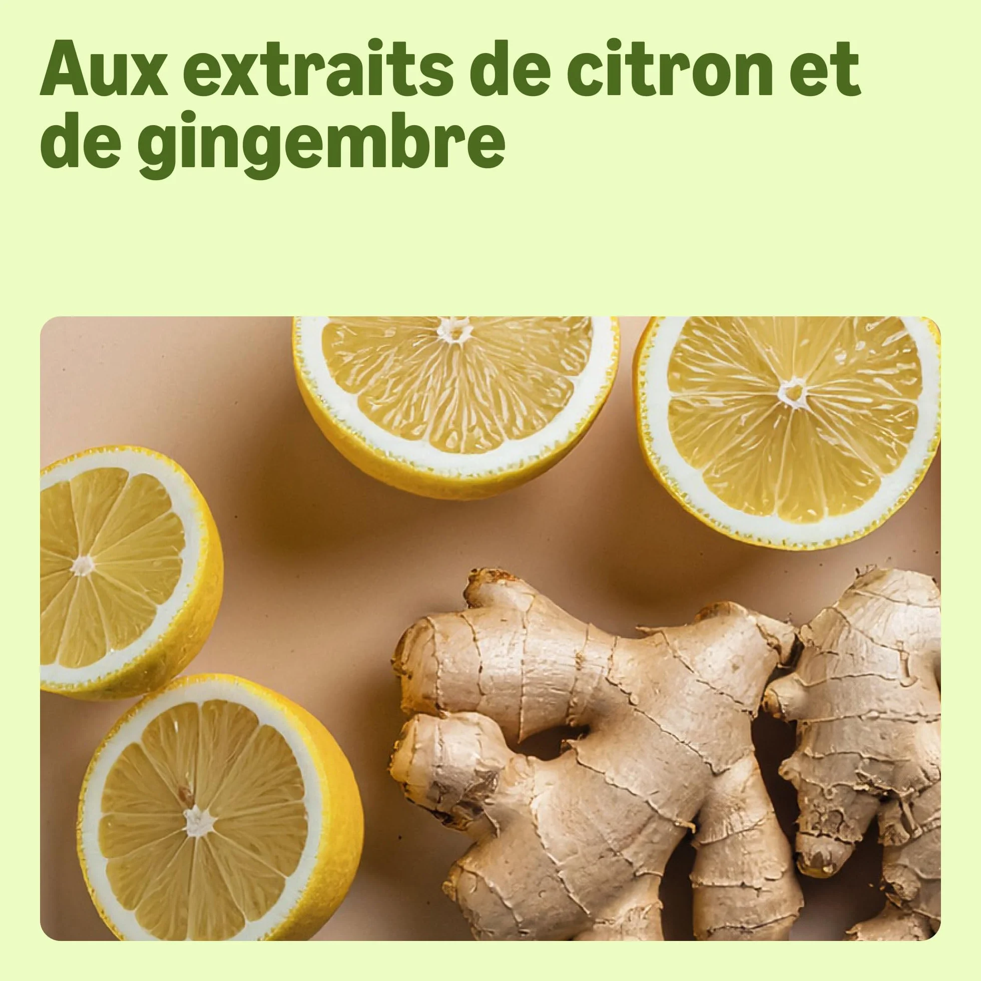 Savon pour les mains Gingembre et Citron 2 x1000ml