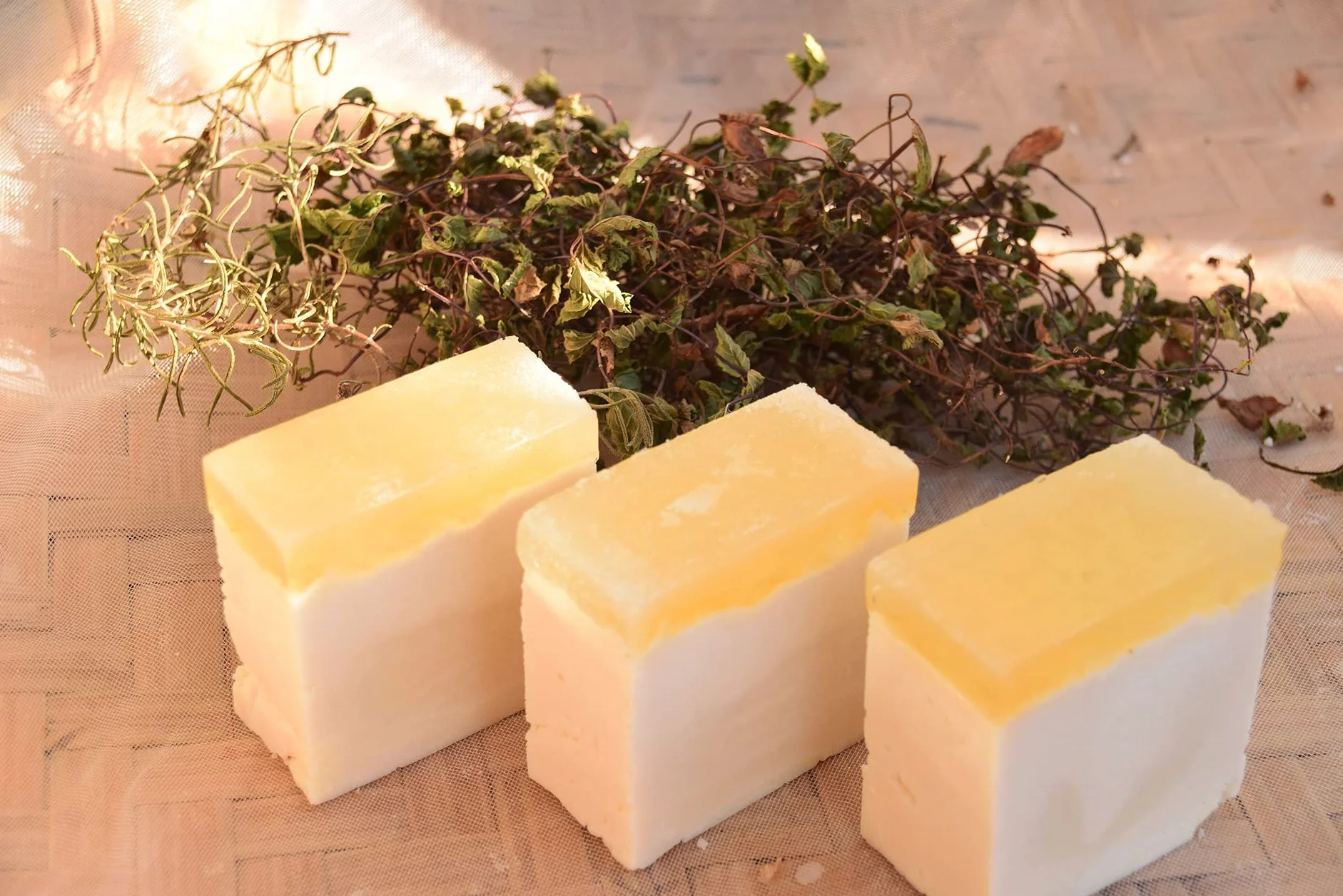 Savon à l'Aloe Vera Base de savon brut à la glycérine 1kg sans SLS SCS 100% végétalien Transparent