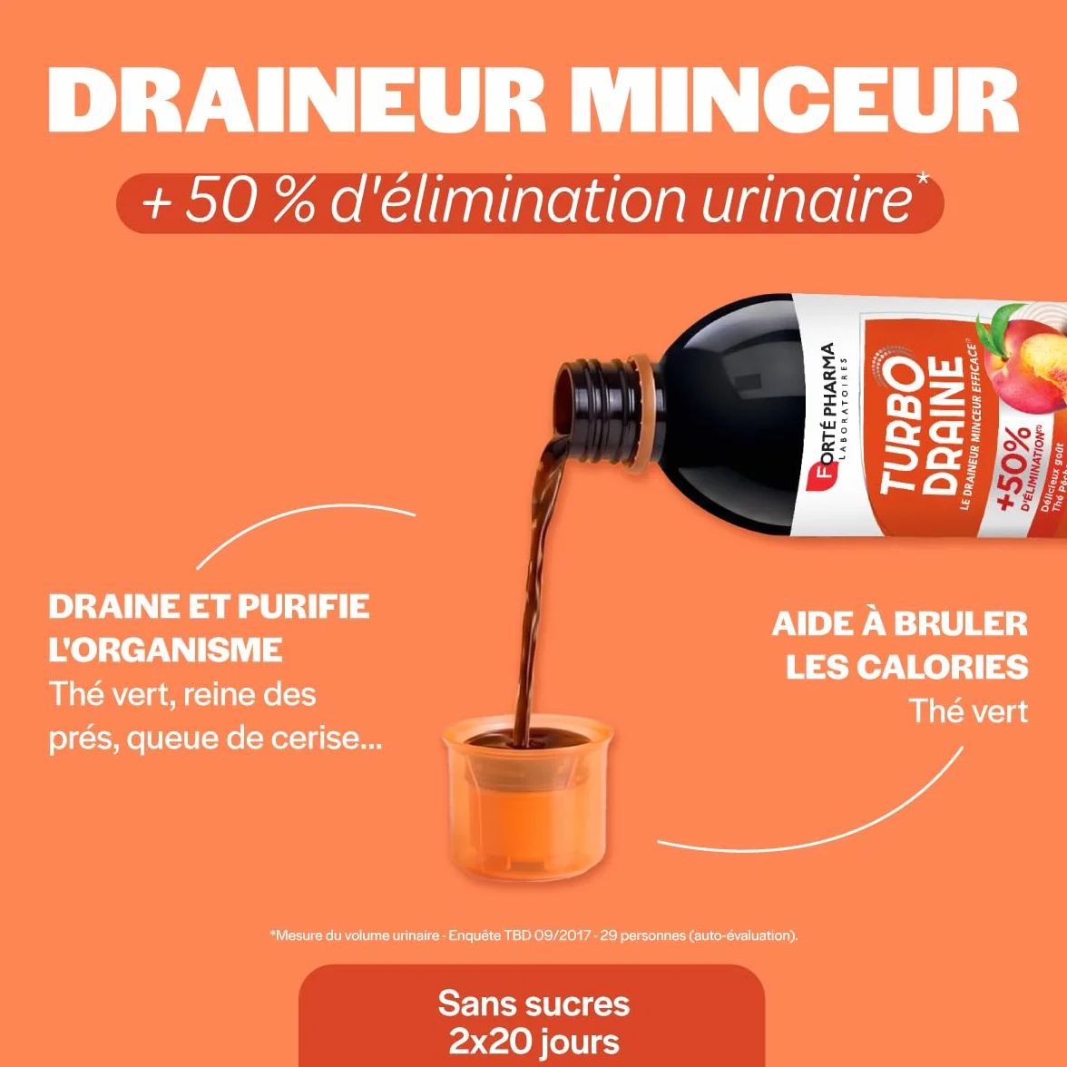 Forté Pharma Turbo Draine Peche Minceur perte de poids Thé vert Reine des prés Queue de cerise Drainage Brule graisse Lot 2x500 ml