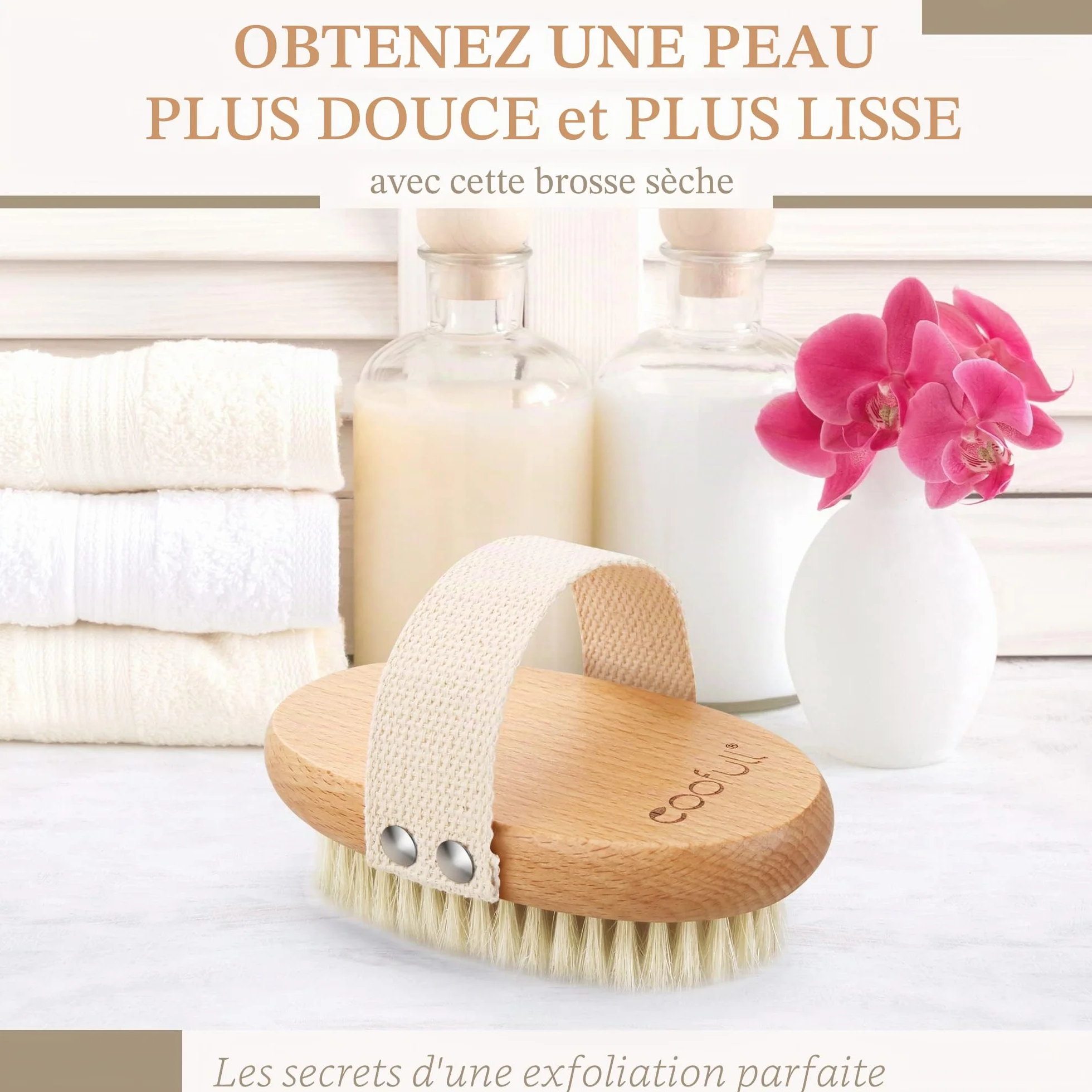 Brosse à sec pour le corps en bois de hêtre naturel 100% poils de sanglier anti-cellulite