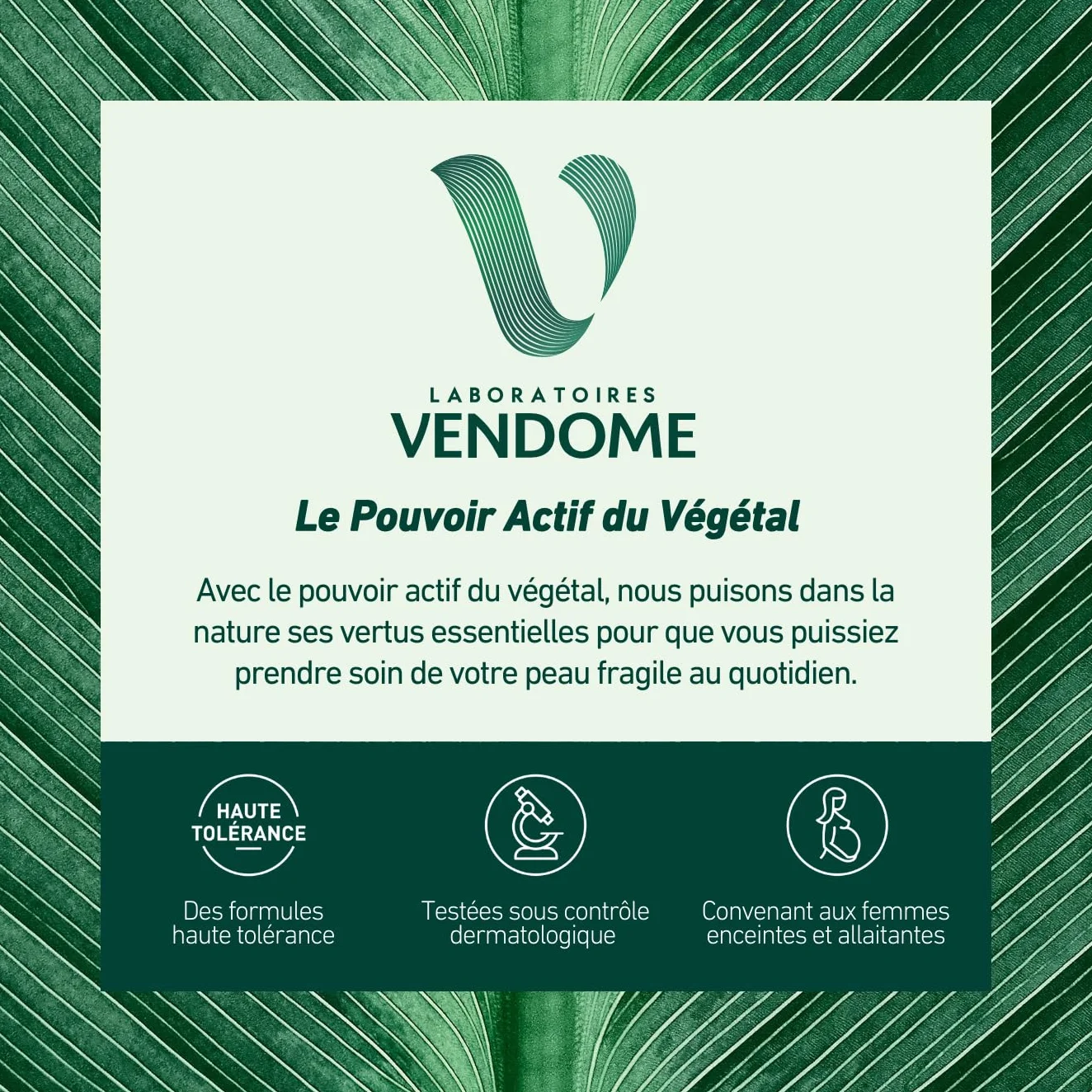 LABORATOIRES VENDÔME NUTRI V+ Pain Dermatologique Sans Parfum 100g pH Neutre Peaux Sèches