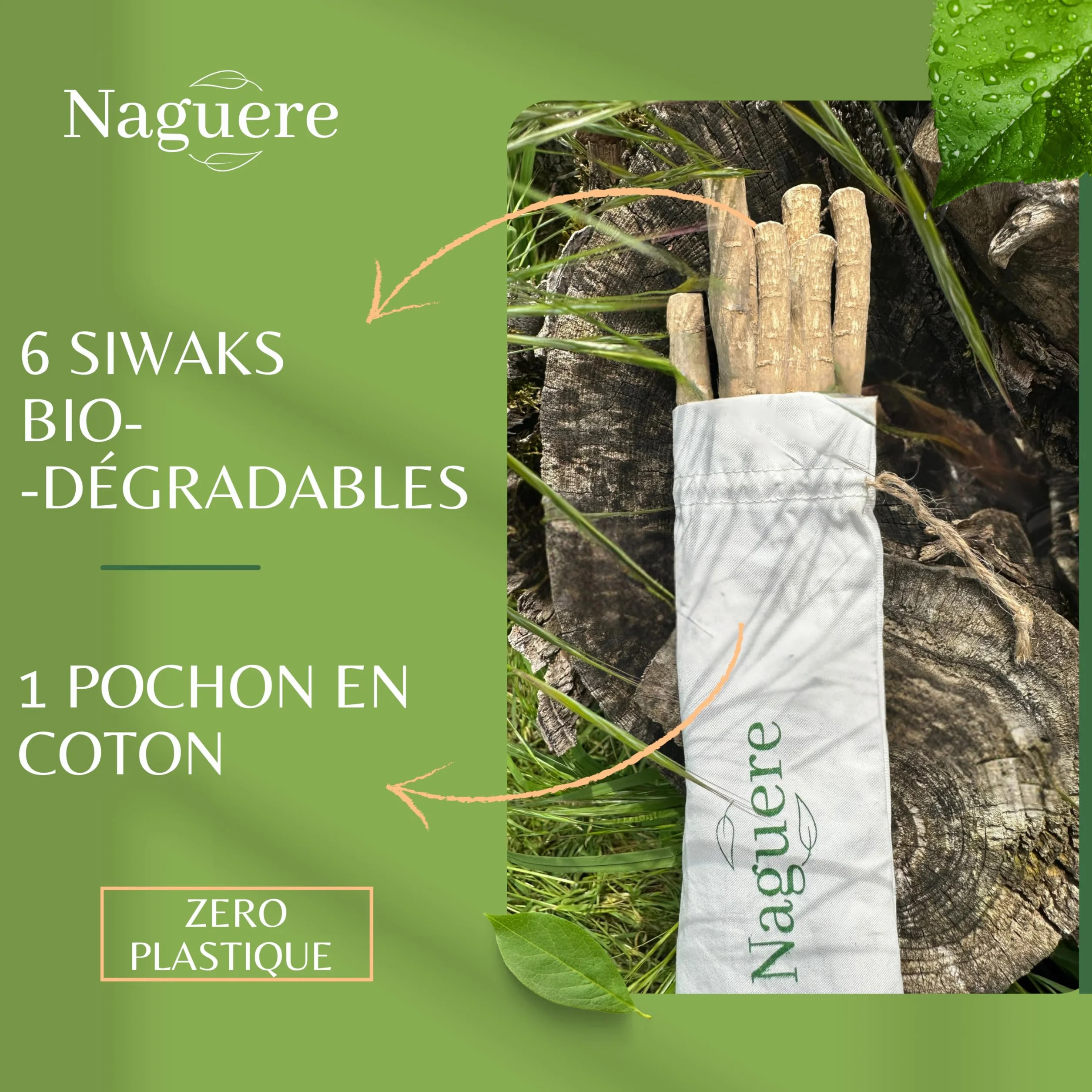 Siwak Naturel 6 Batons de Miswak Sec + Pochon Sans Conservateur Écologique Sans Plastique