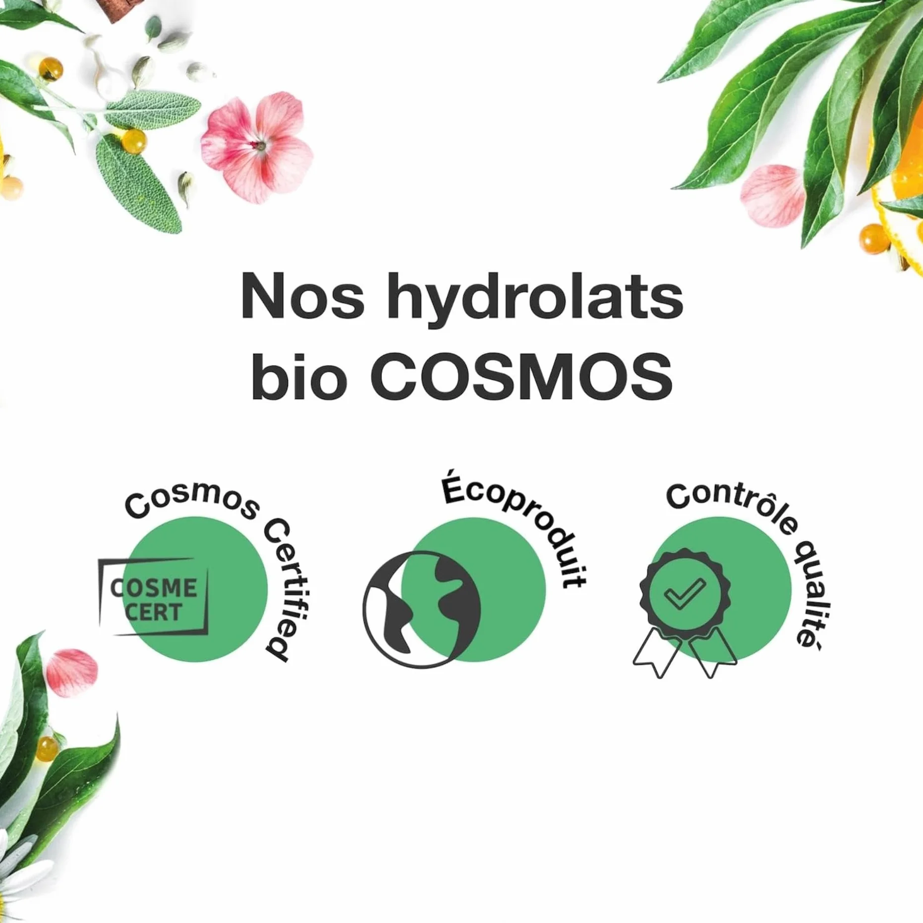 VOSHUILES Hydrolat de Tea Tree COSMOS 200ml Purifiant Peaux Imperfections Cuirs Chevelus Gras