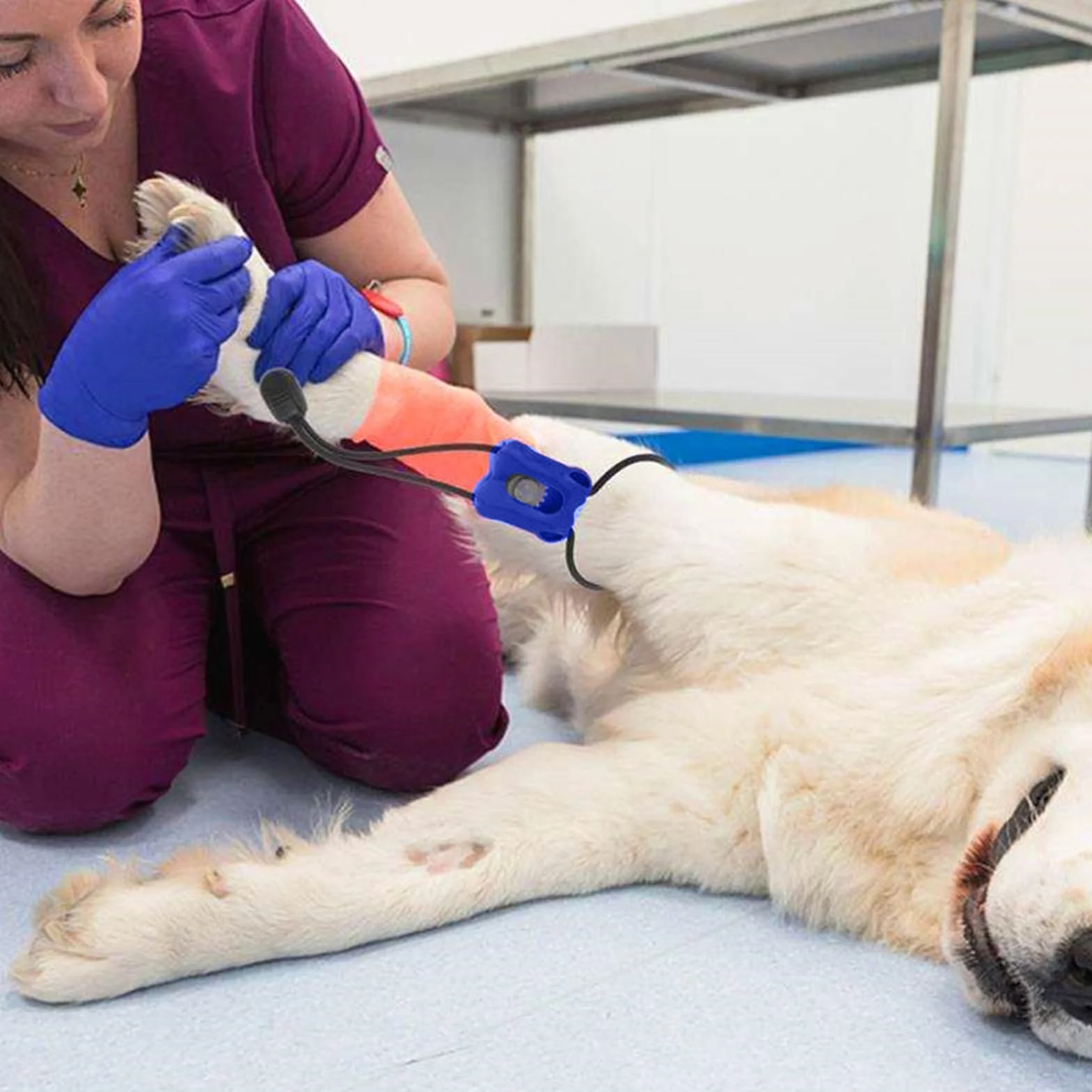Garrot Élastique Premiers Secours Bandage Portable Contrôle Saignement Immédiat Chien Chat