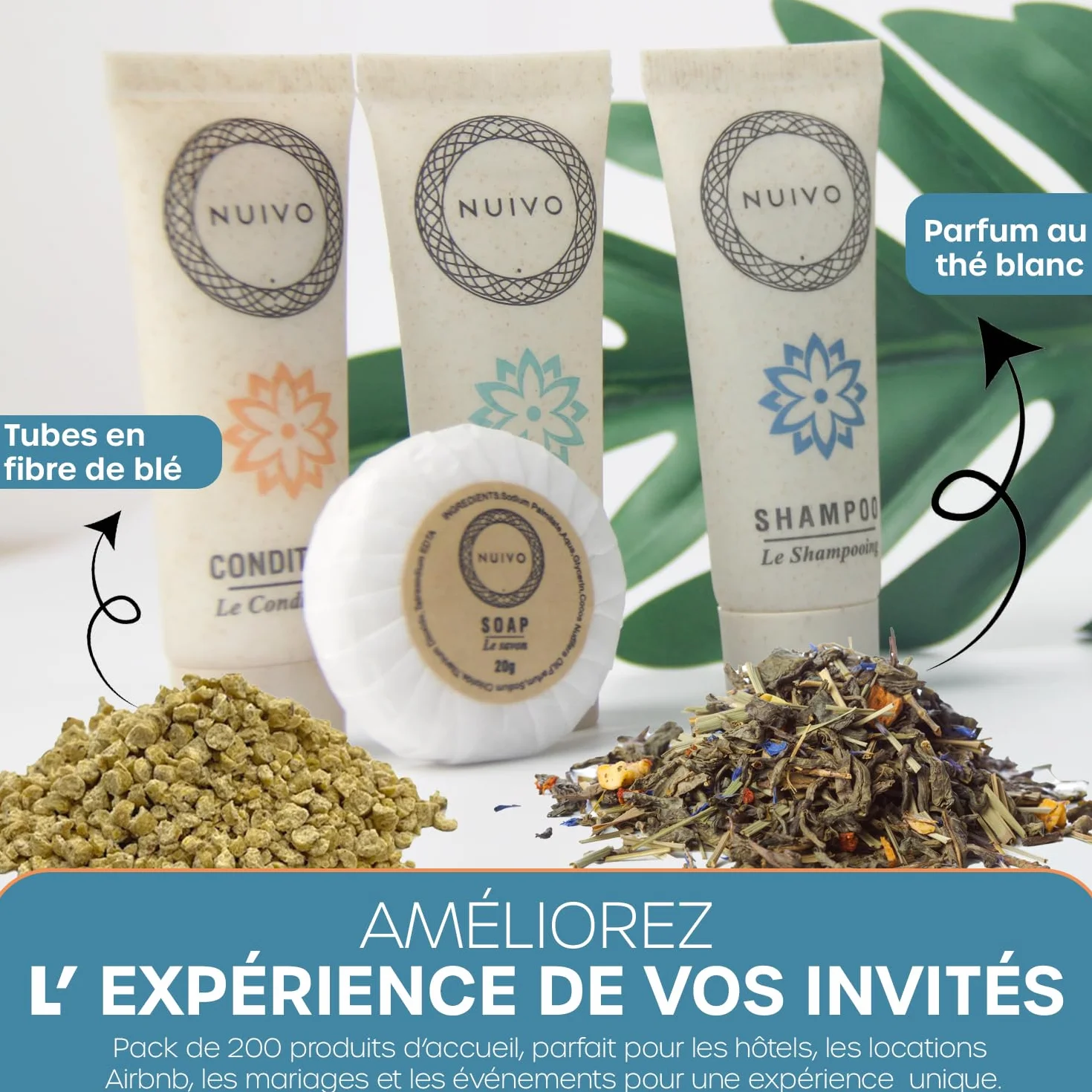 Produits d’Accueil Pack de 200 Gels Douche Shampoings 20g 30ml Écoresponsables