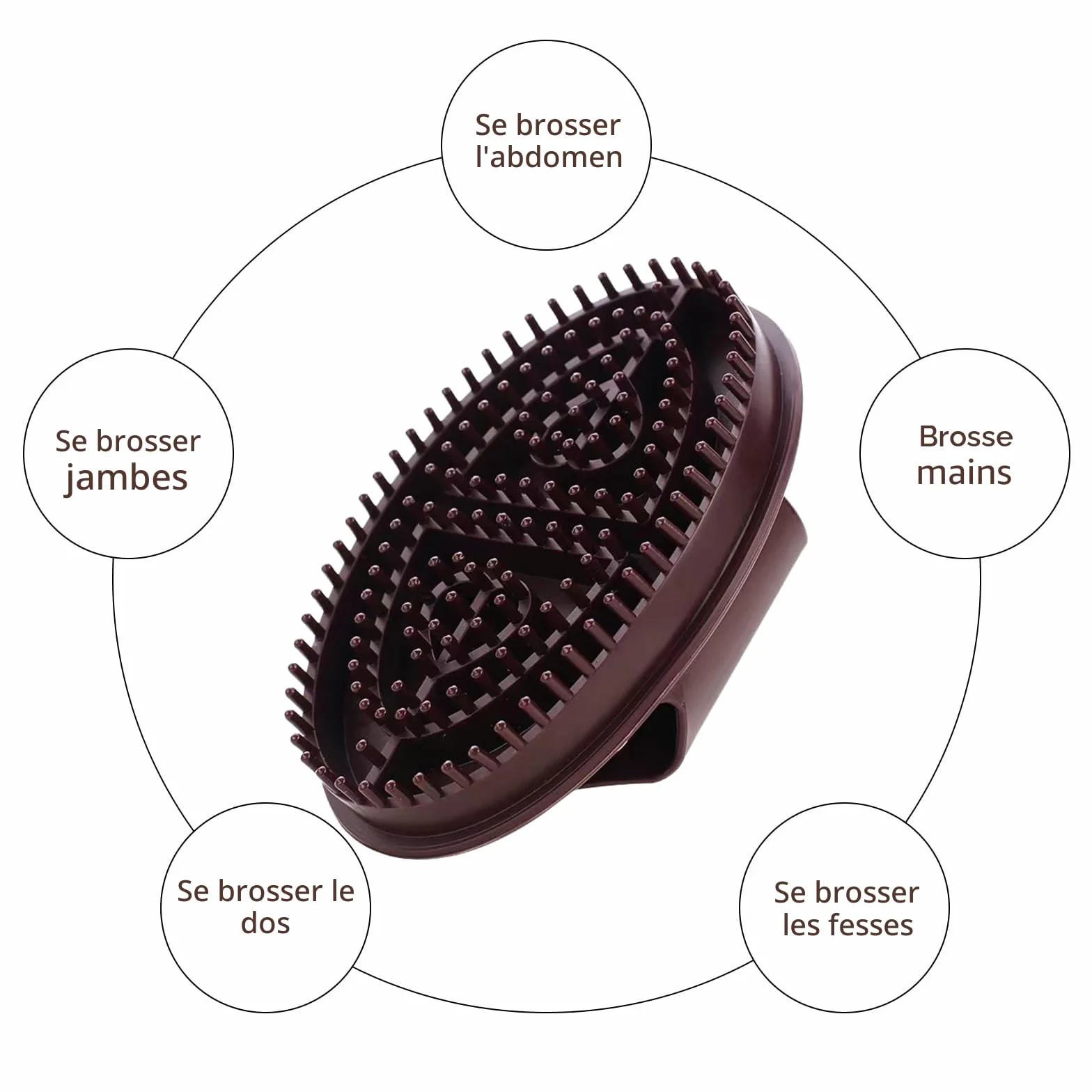 Brosse de Massage Ventre Professionnel Meridian, 2 Pièces Matériau sûr Facile à Nettoyer
