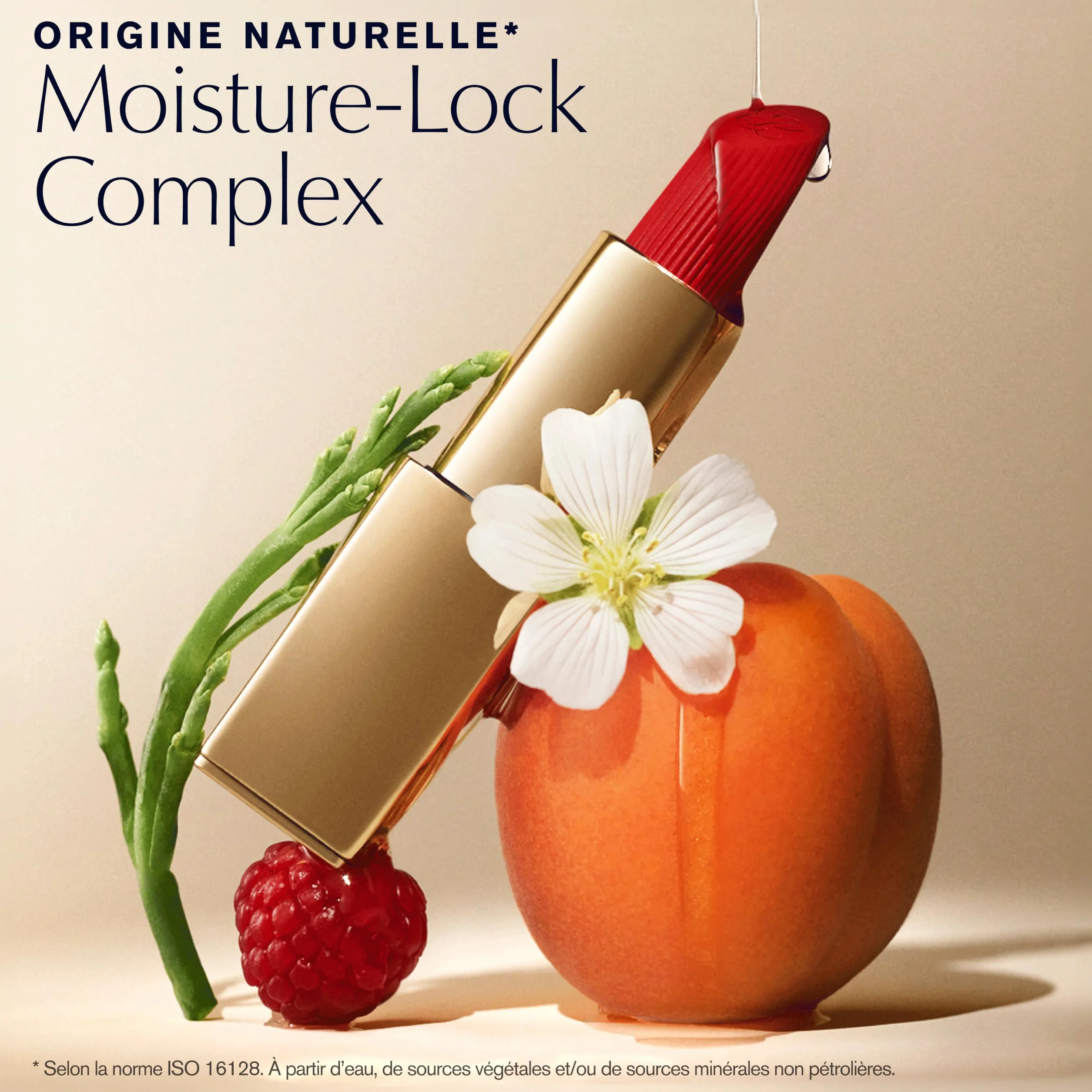 Estée Lauder Pure Color Rouge à Lèvres Mat | Fini Mat, Repulpant et Nourrissant, 3.5g